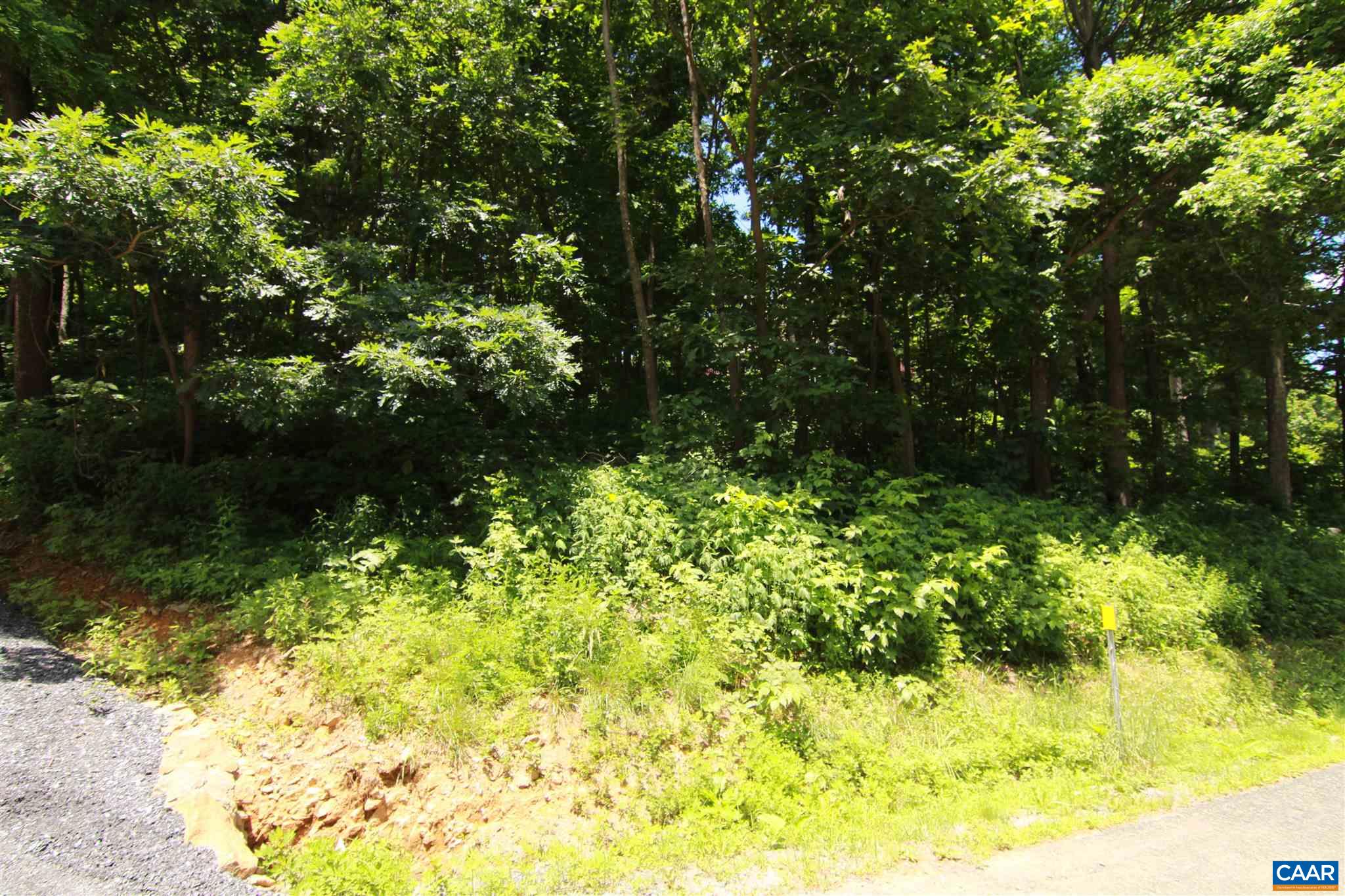 340 Chestnut Pl, Wintergreen Resort, VA 22967 - photo 2