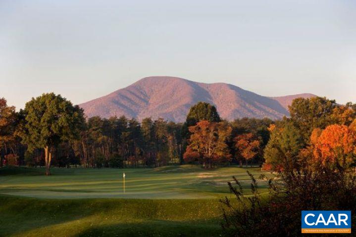 340 Chestnut Pl, Wintergreen Resort, VA 22967 - photo 5