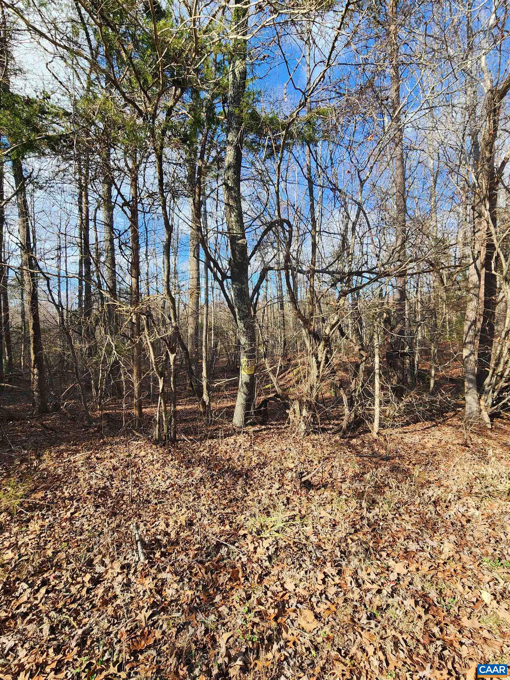 Union Hill Rd, Buckingham, VA 23921 - photo 4