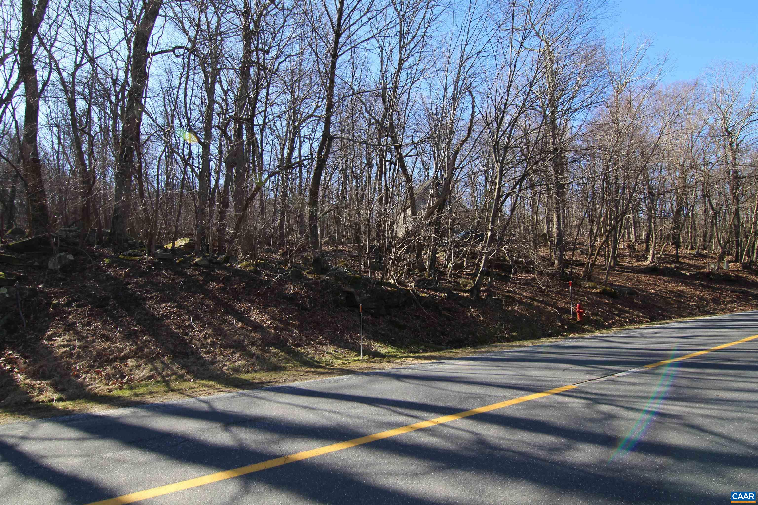 150 Shamokin Springs Trl, Wintergreen Resort, VA 22967 - photo 2