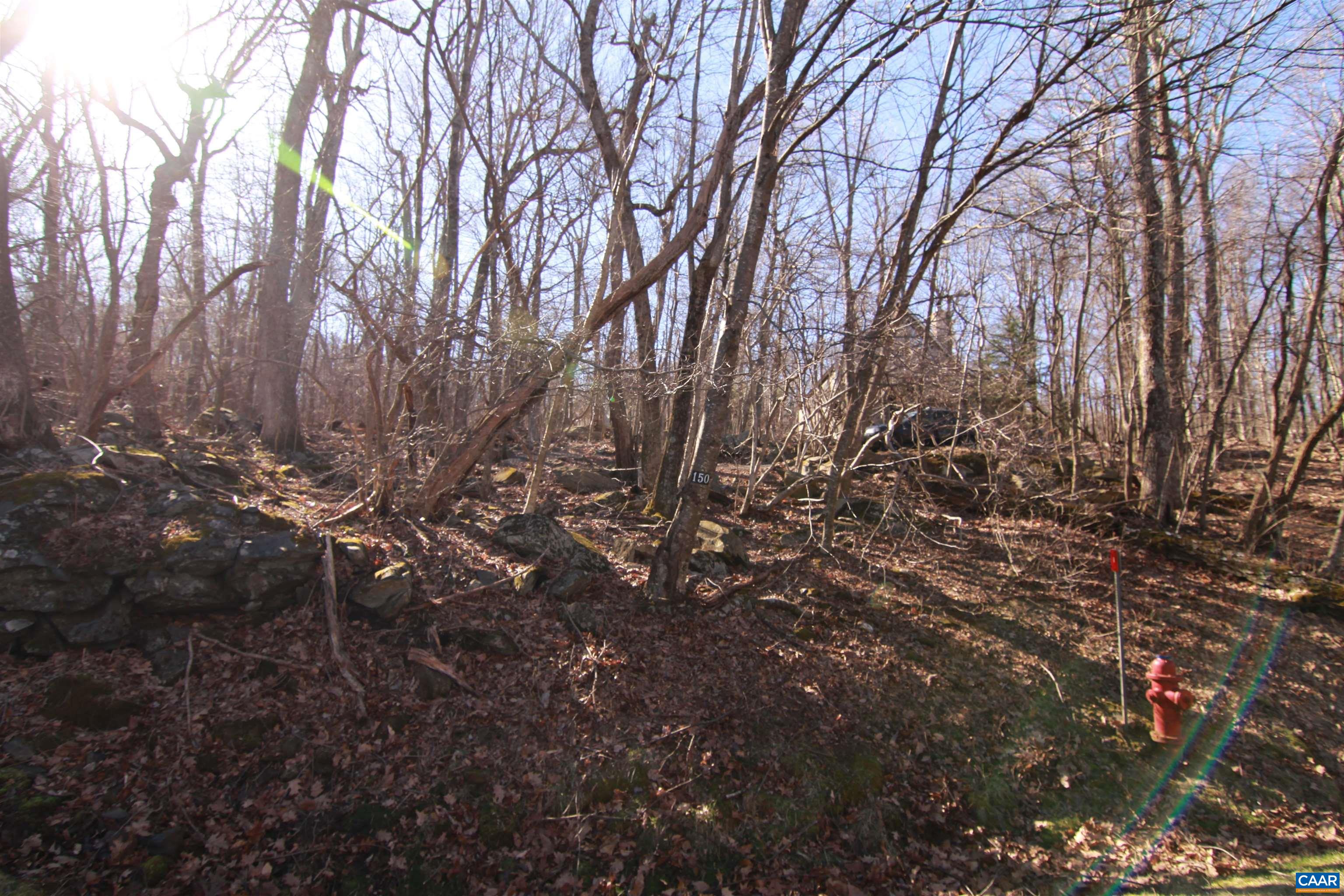150 Shamokin Springs Trl, Wintergreen Resort, VA 22967 - photo 4