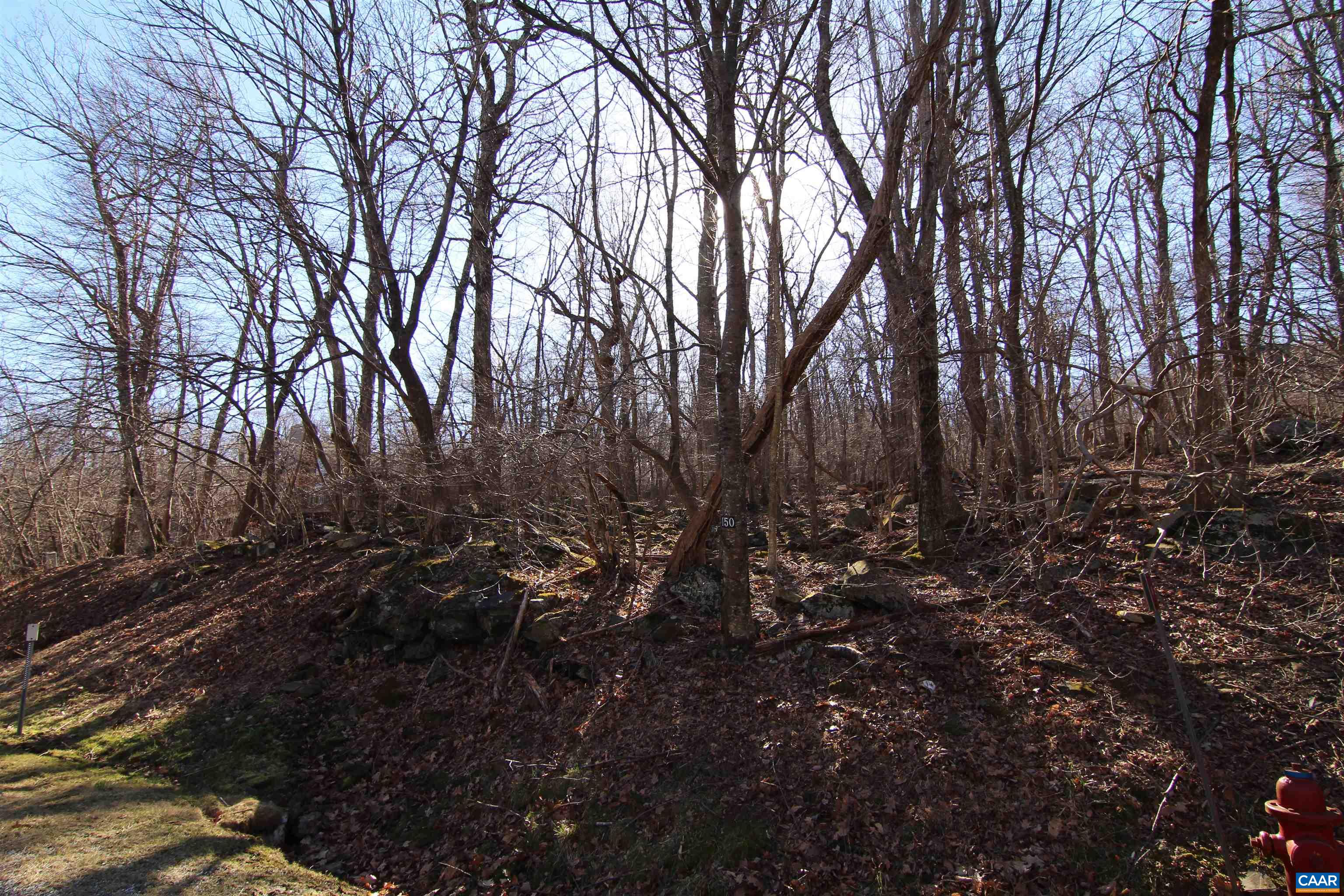 150 Shamokin Springs Trl, Wintergreen Resort, VA 22967 - photo 6
