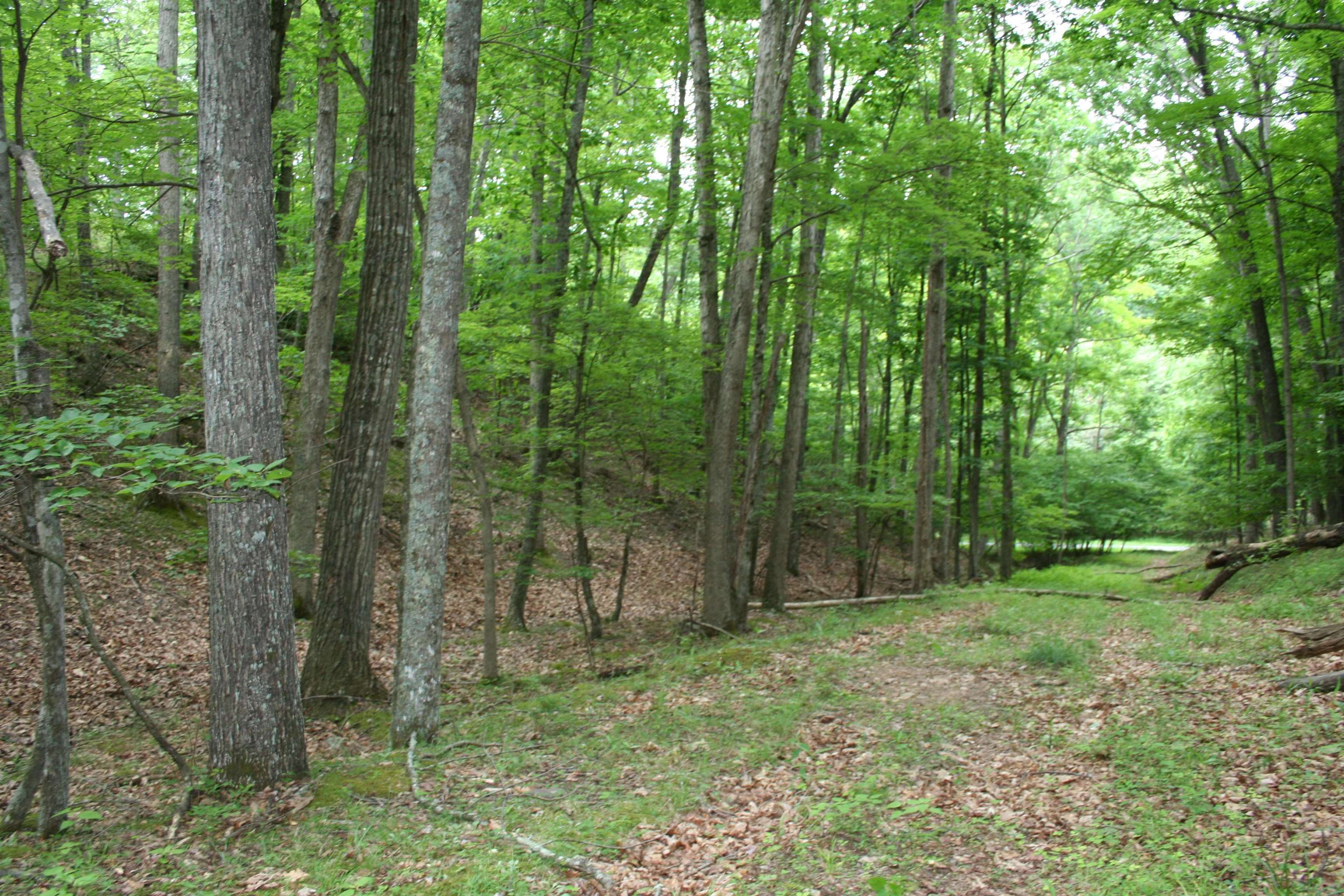 20 High Valley South, Monterey, VA 24465 - photo 10