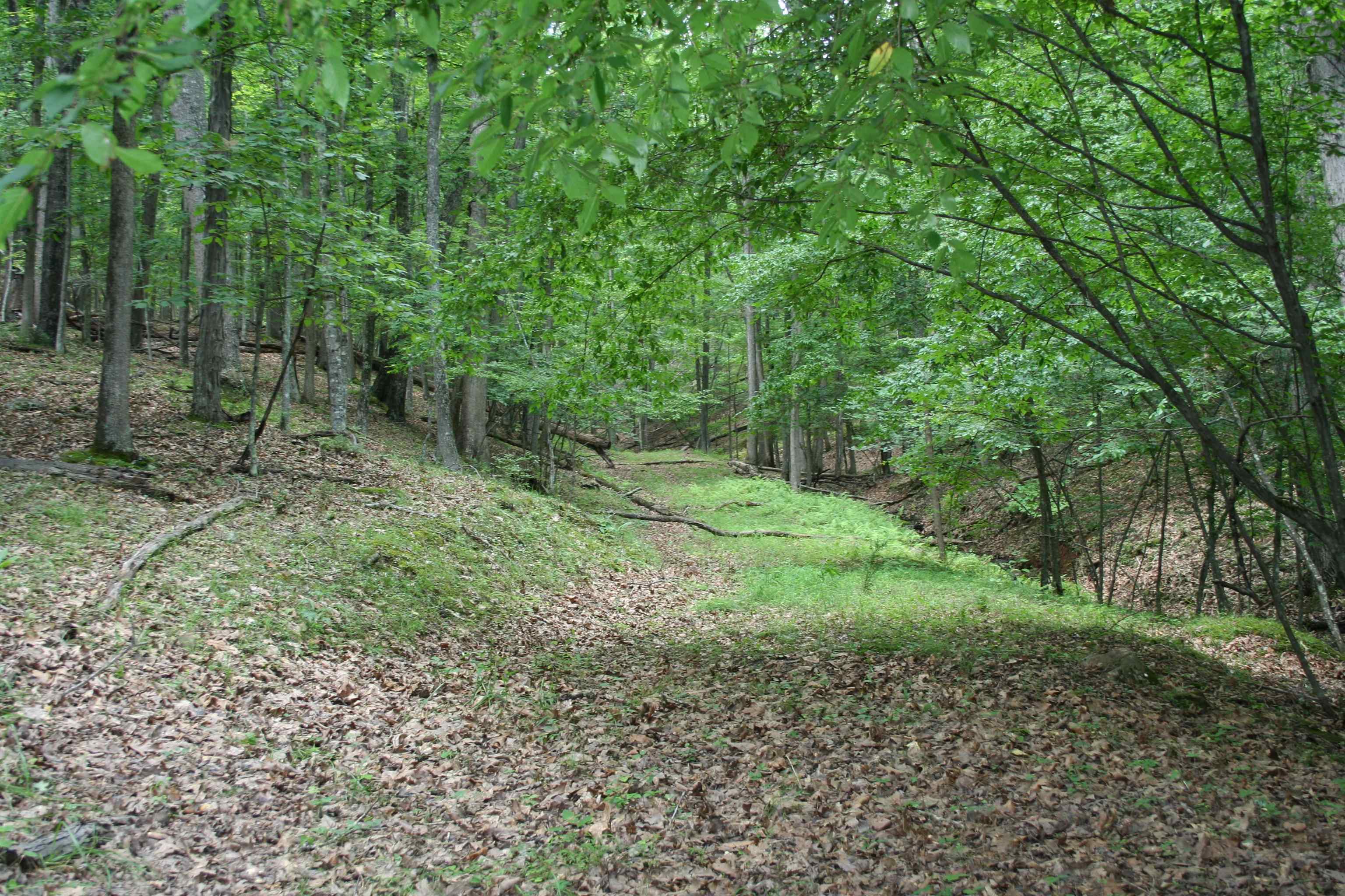 20 High Valley South, Monterey, VA 24465 - photo 3
