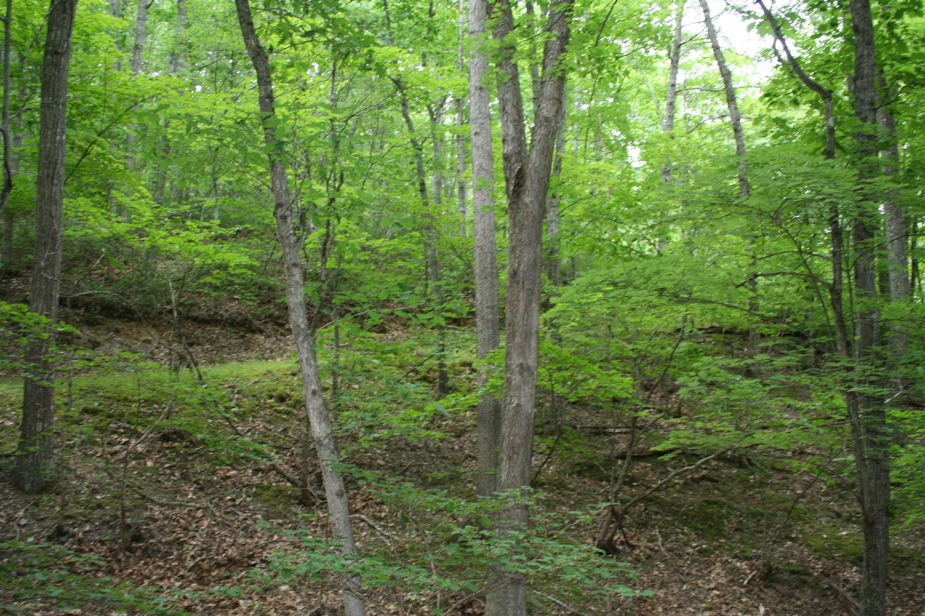 20 High Valley South, Monterey, VA 24465 - photo 6