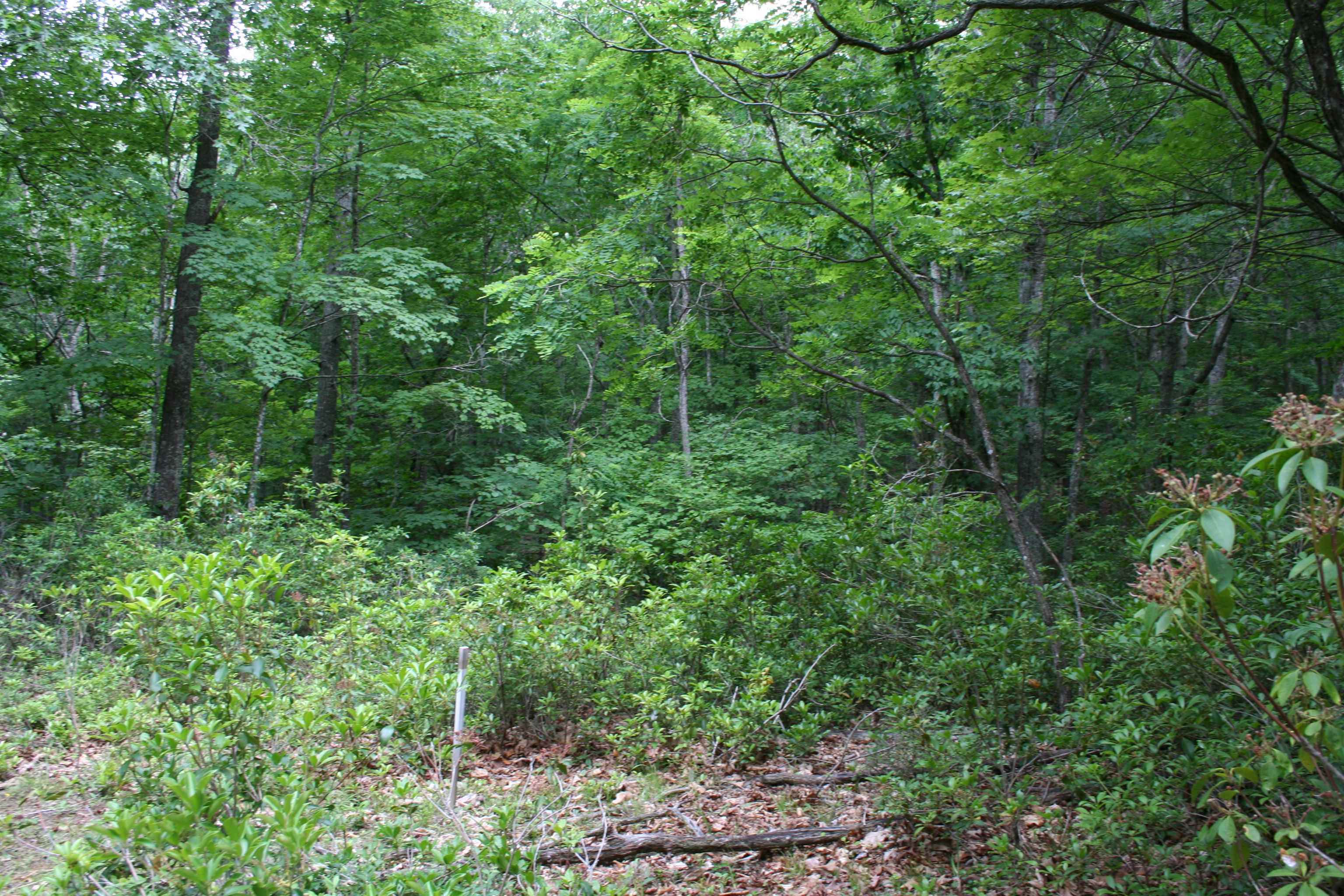20 High Valley South, Monterey, VA 24465 - photo 8