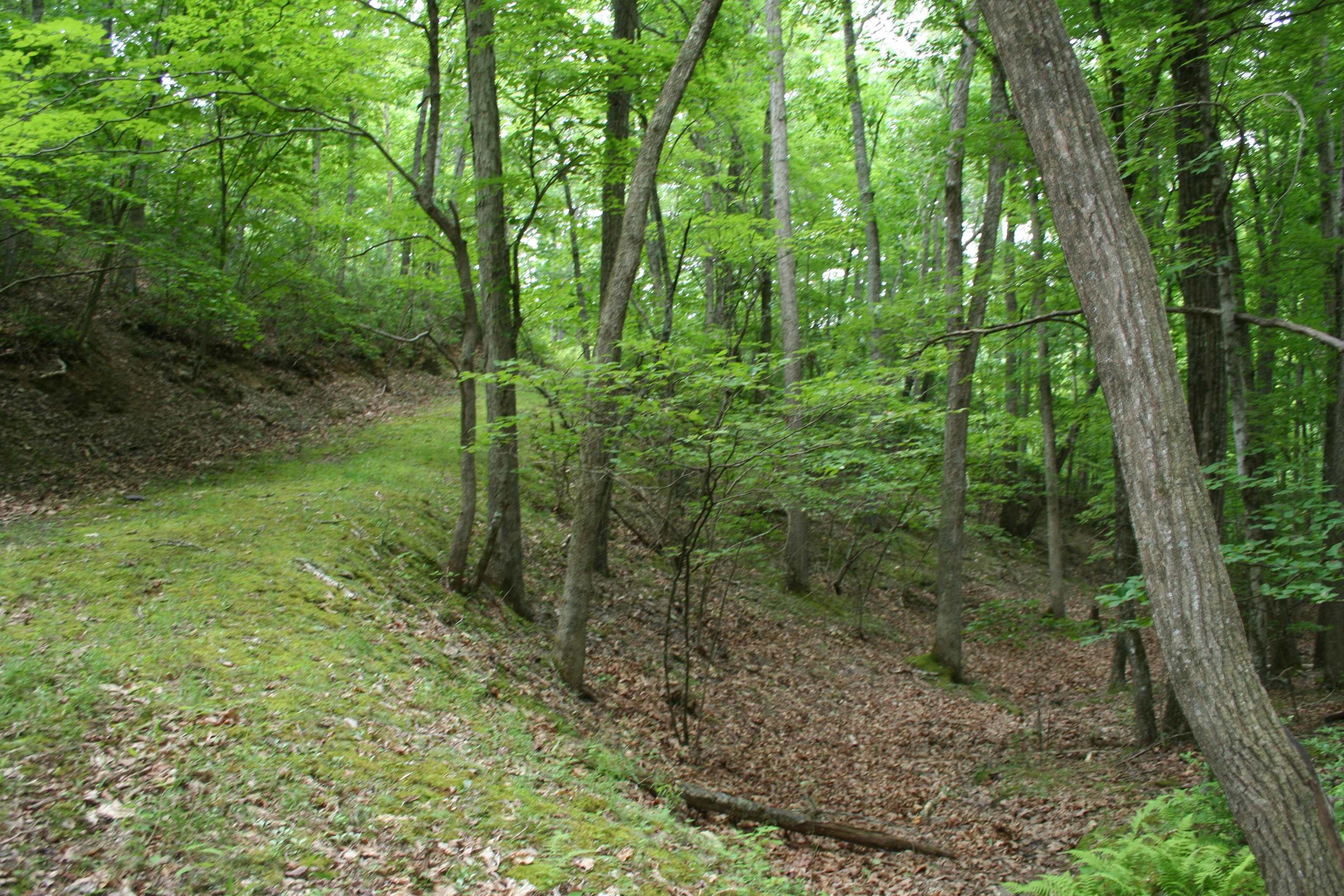 20 High Valley South, Monterey, VA 24465 - photo 9