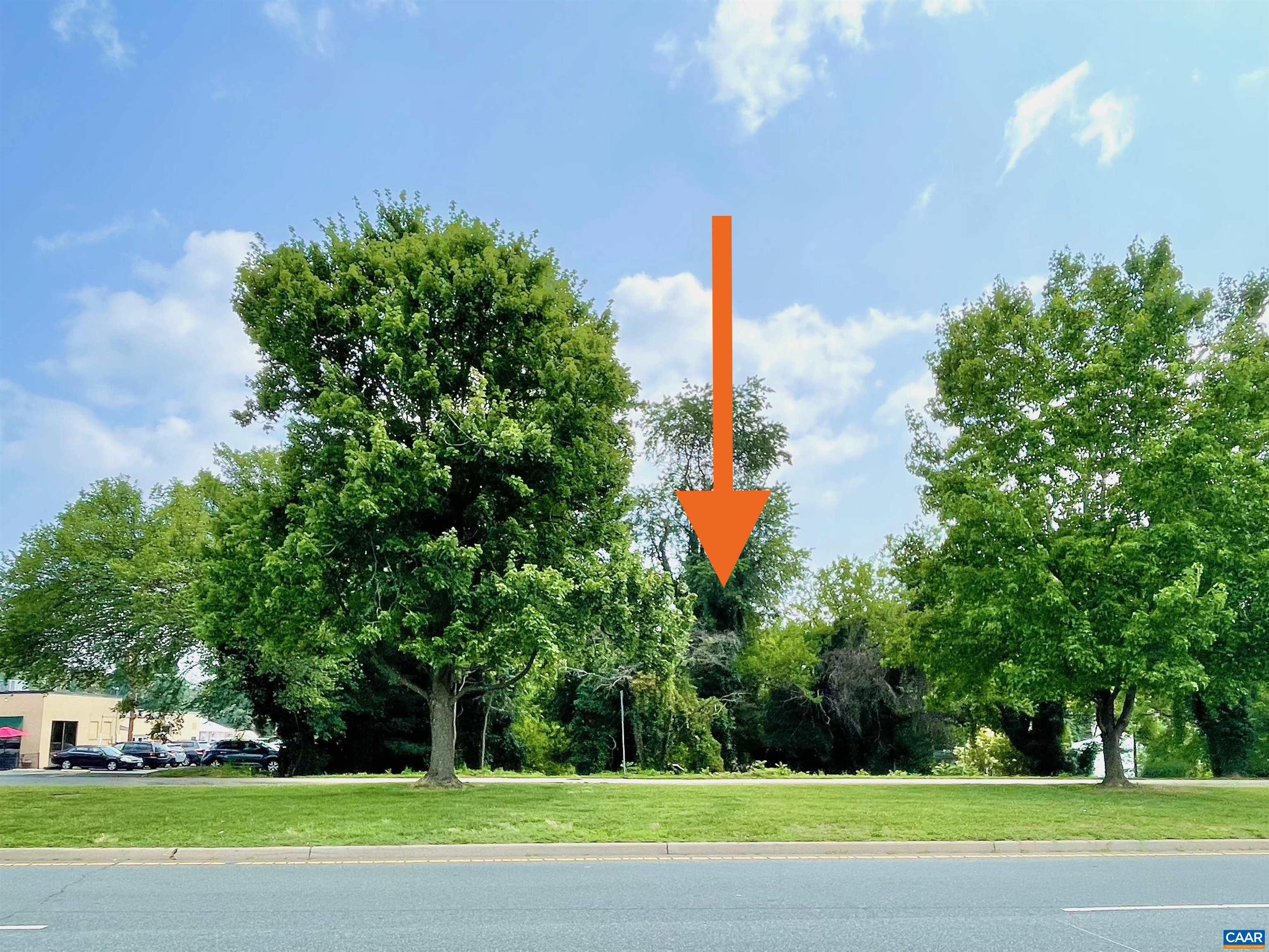 611 Booker St, Charlottesville, VA 22903 - photo 7