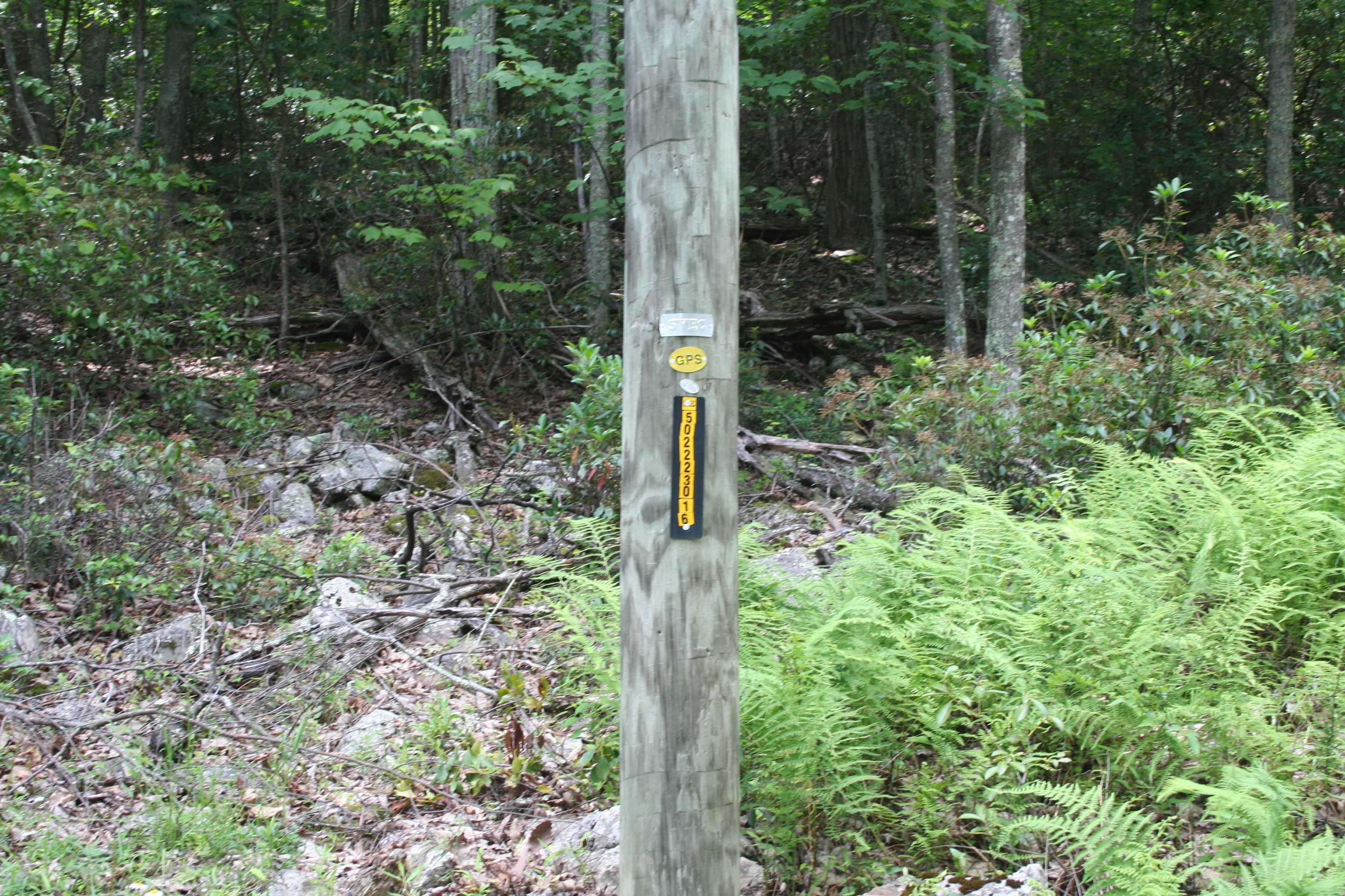 High Valley South, Monterey, VA 24465