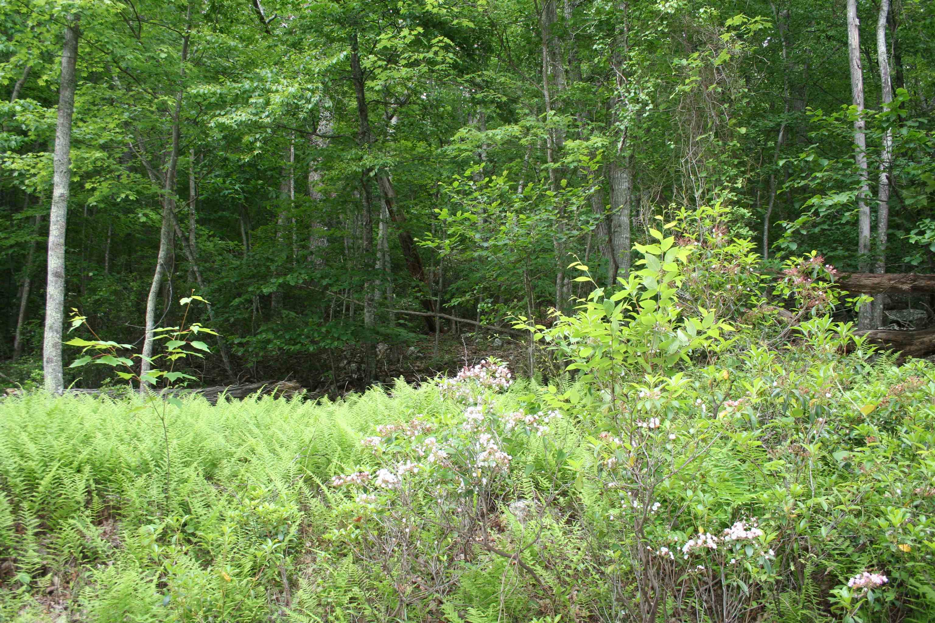High Valley South, Monterey, VA 24465 - photo 2