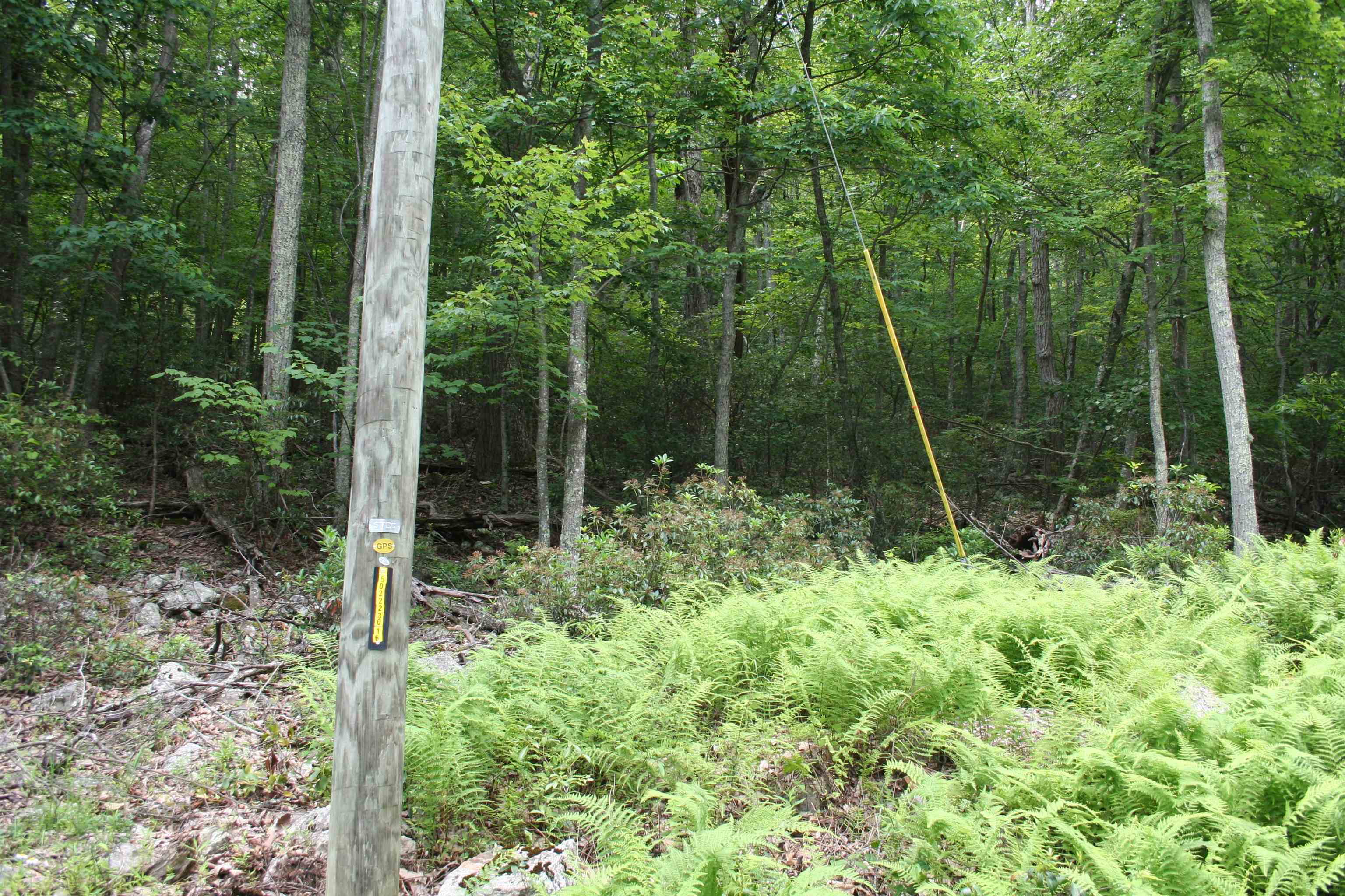 High Valley South, Monterey, VA 24465 - photo 5