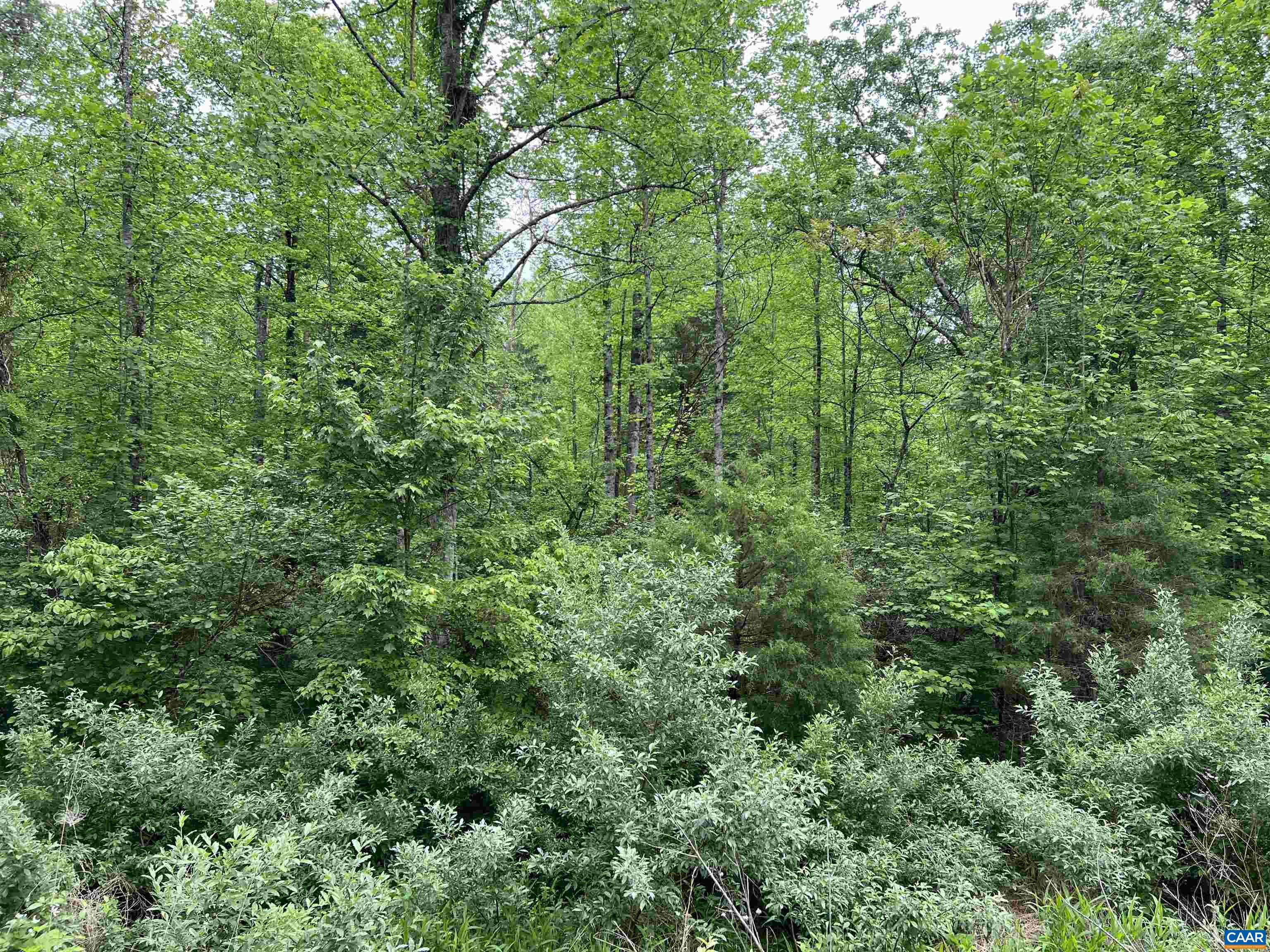 Montview Dr, Ruckersville, VA 22968 - photo 5
