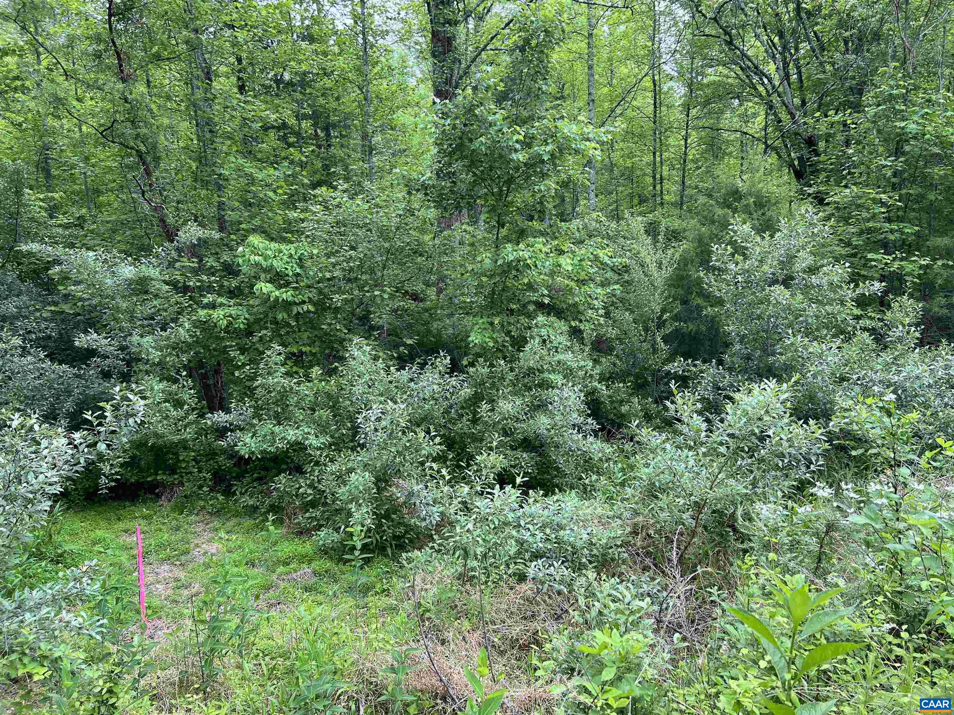 Montview Dr, Ruckersville, VA 22968 - photo 6