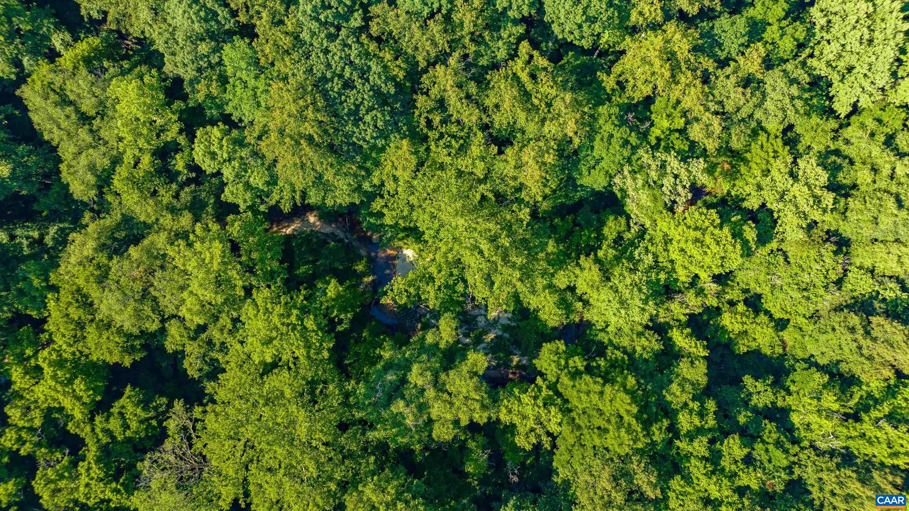 Stag Rd, Bremo Bluff, VA 23022 - photo 6