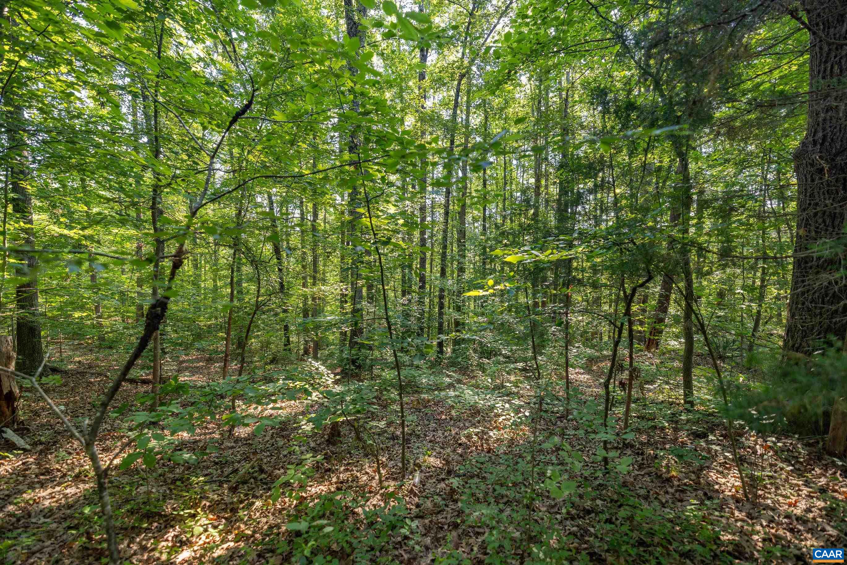 Stag Rd, Bremo Bluff, VA 23022 - photo 4
