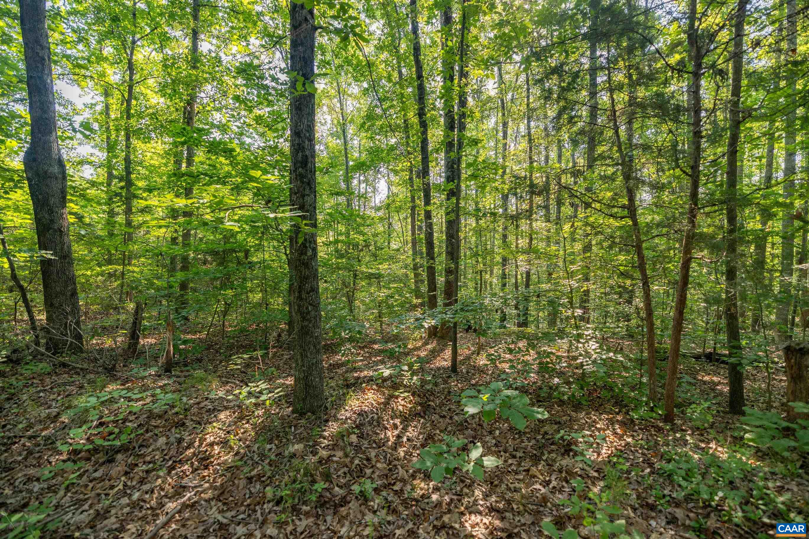 Stag Rd, Bremo Bluff, VA 23022 - photo 5