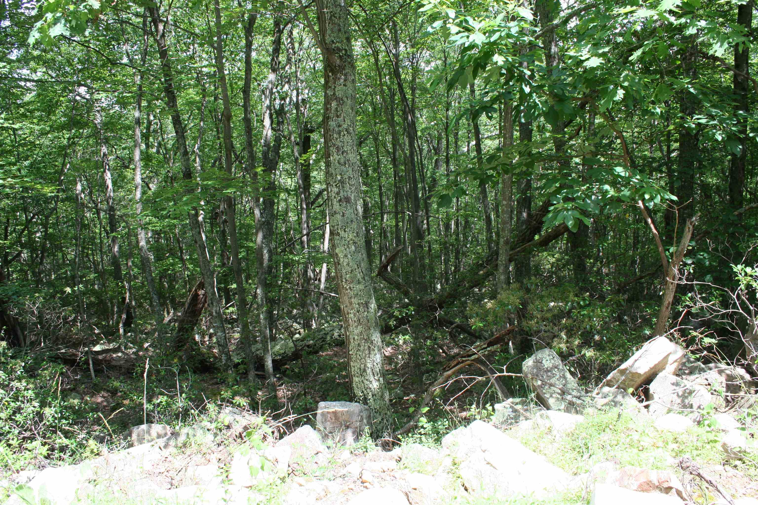 High Valley South, Monterey, VA 24465