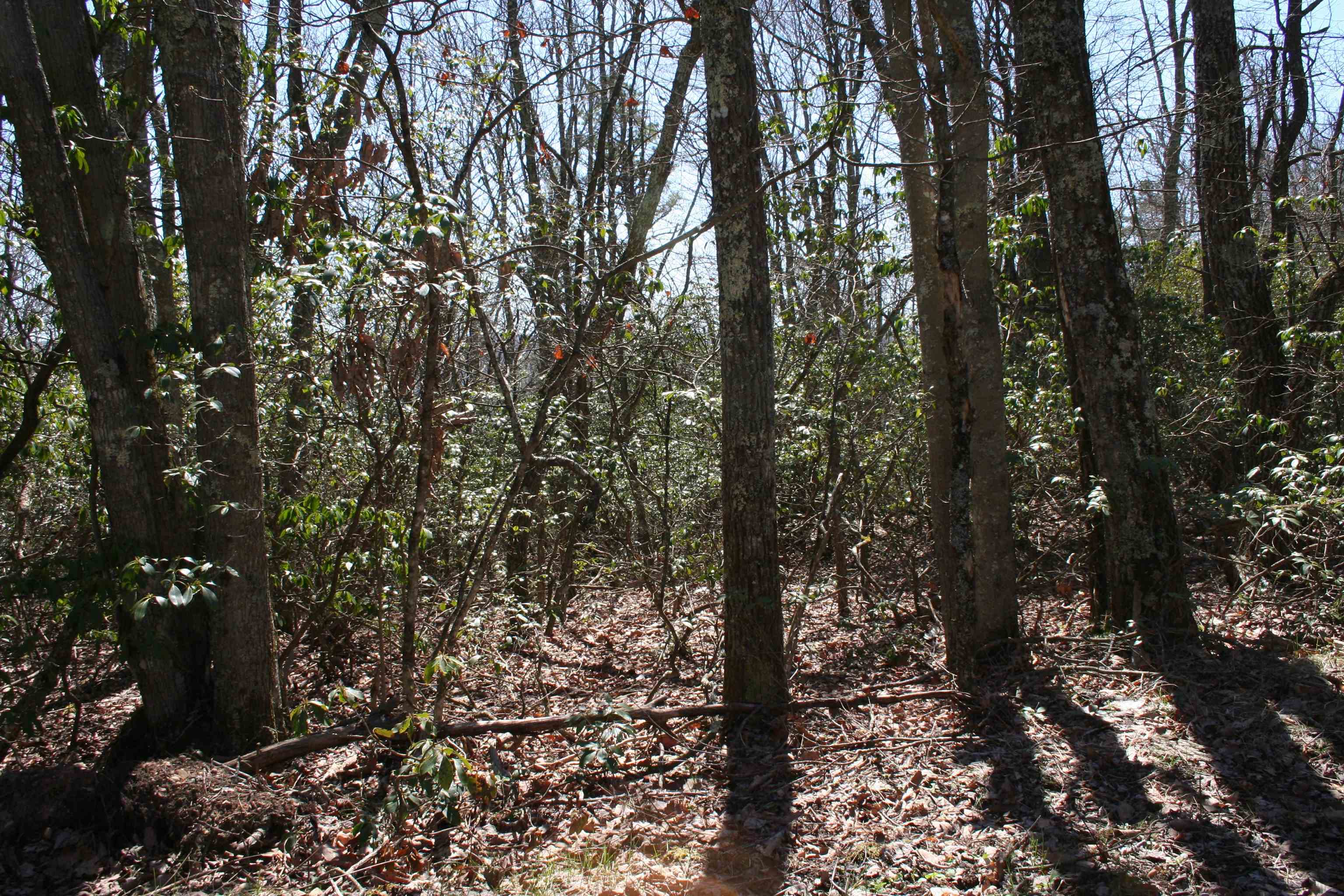 N Summit Dr, Monterey, VA 24465