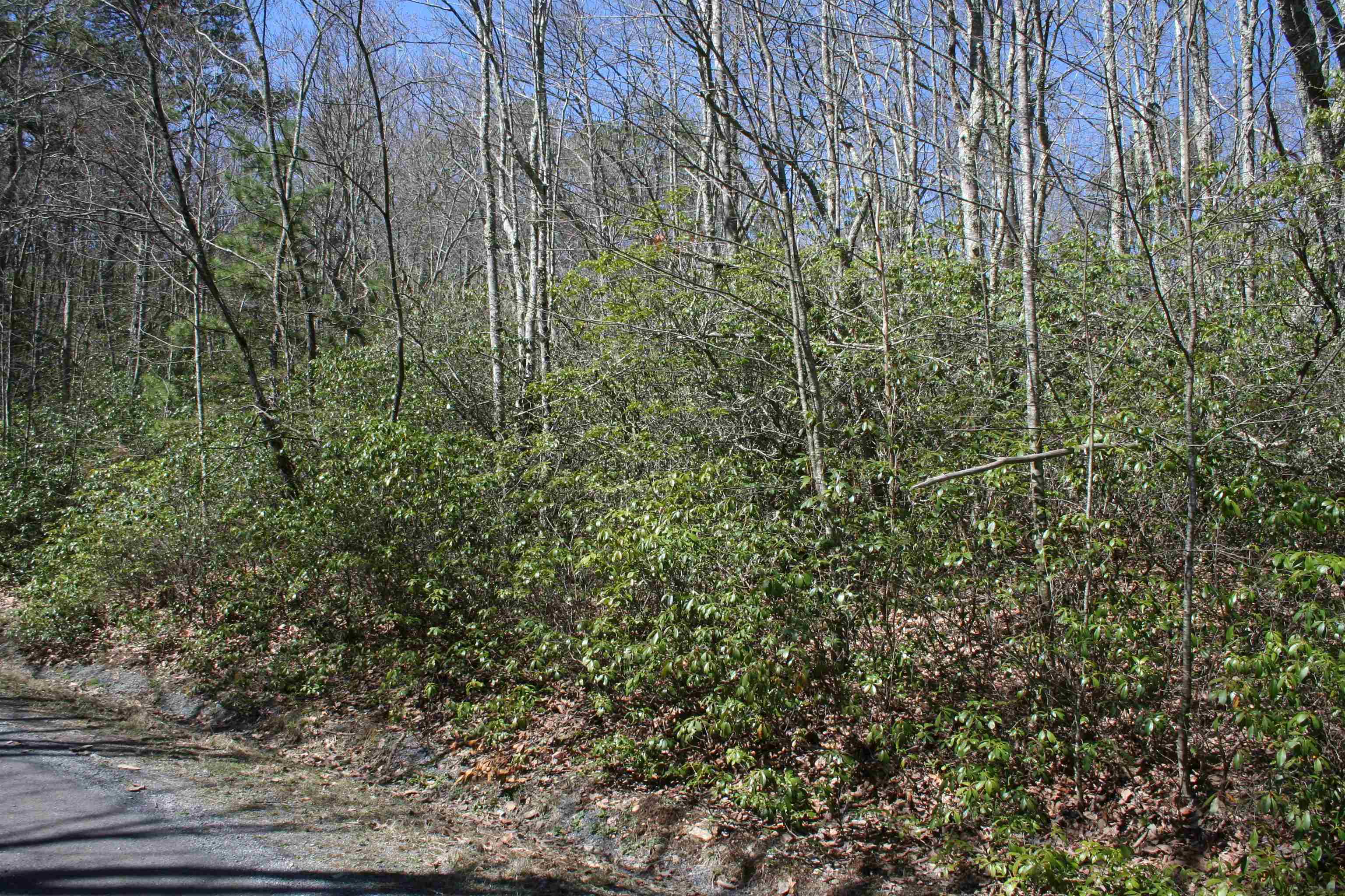 N Summit Dr, Monterey, VA 24465 - photo 6