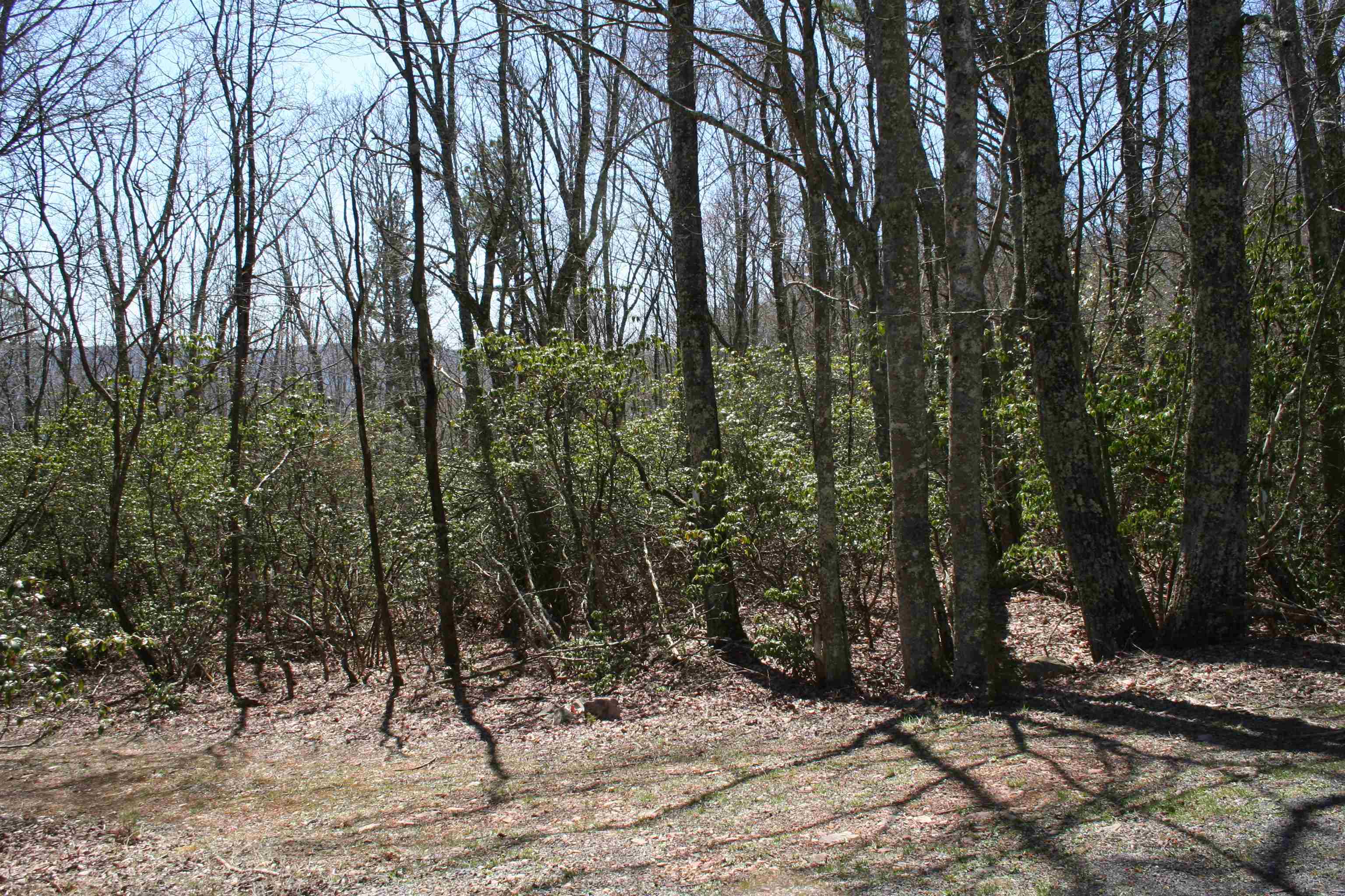N Summit Dr, Monterey, VA 24465 - photo 7