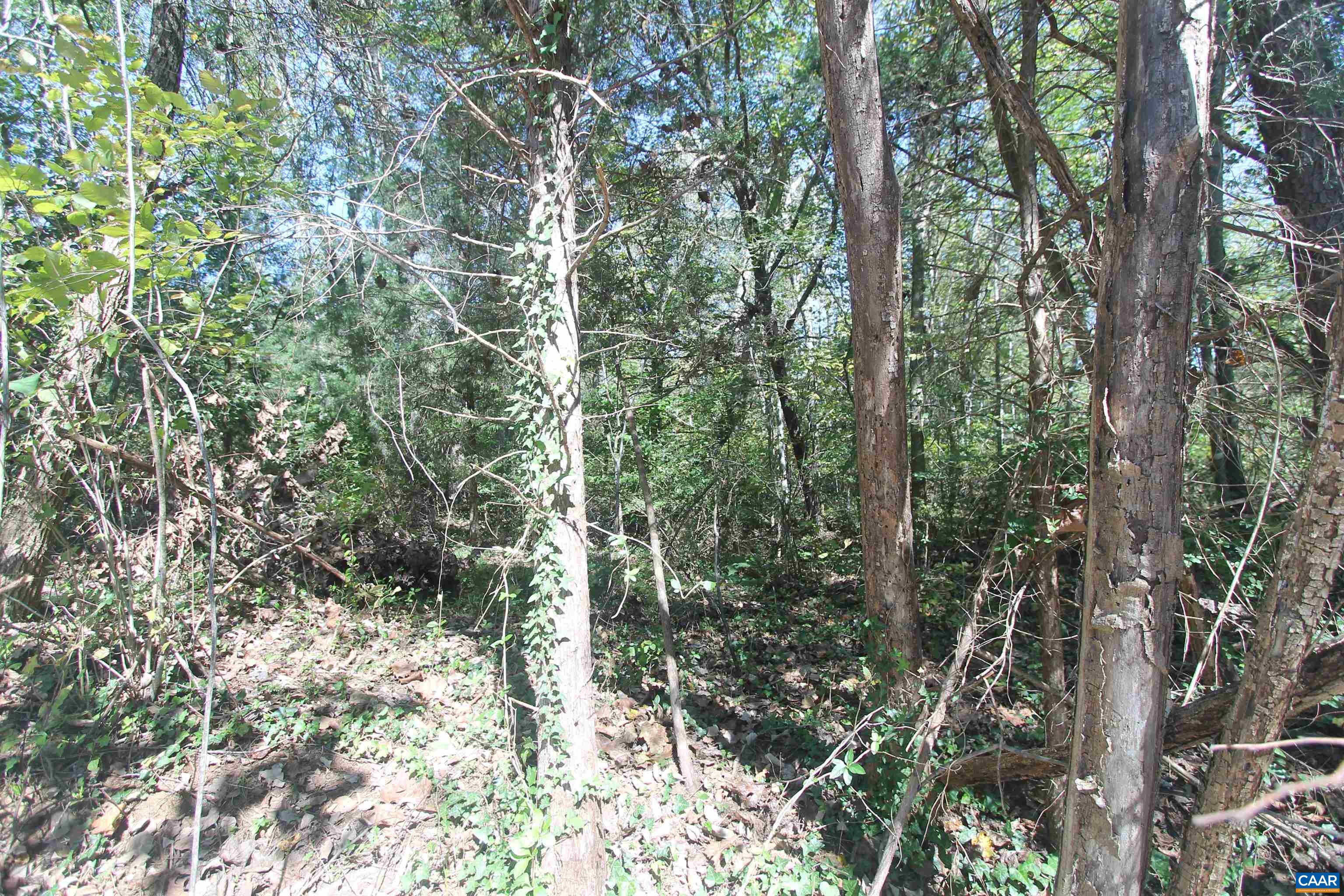 Toco Hl, North Garden, VA 22959 - photo 2