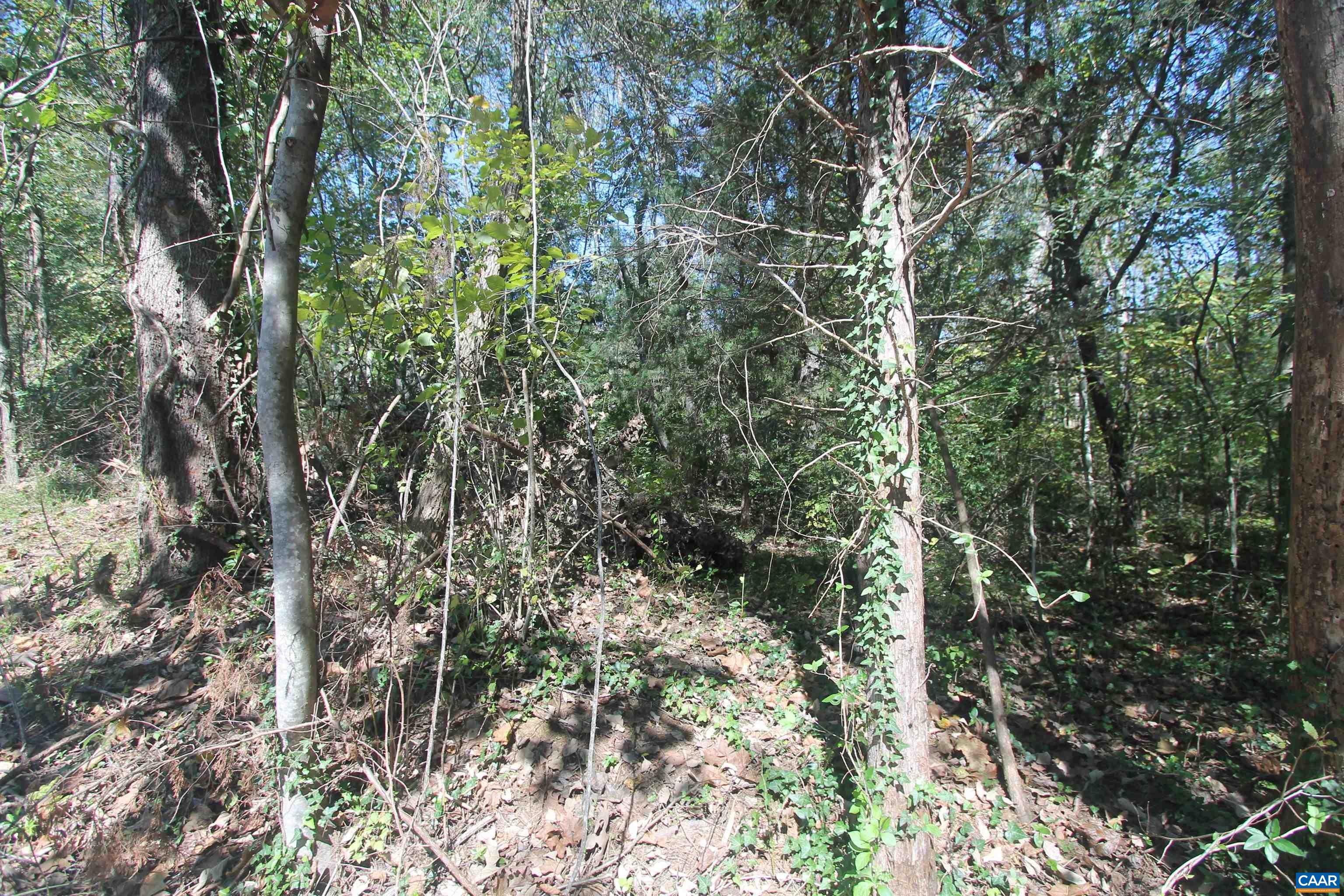 Toco Hl, North Garden, VA 22959 - photo 4