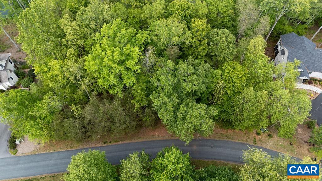 High Crest Ln, Wintergreen, VA 22958 - photo 5