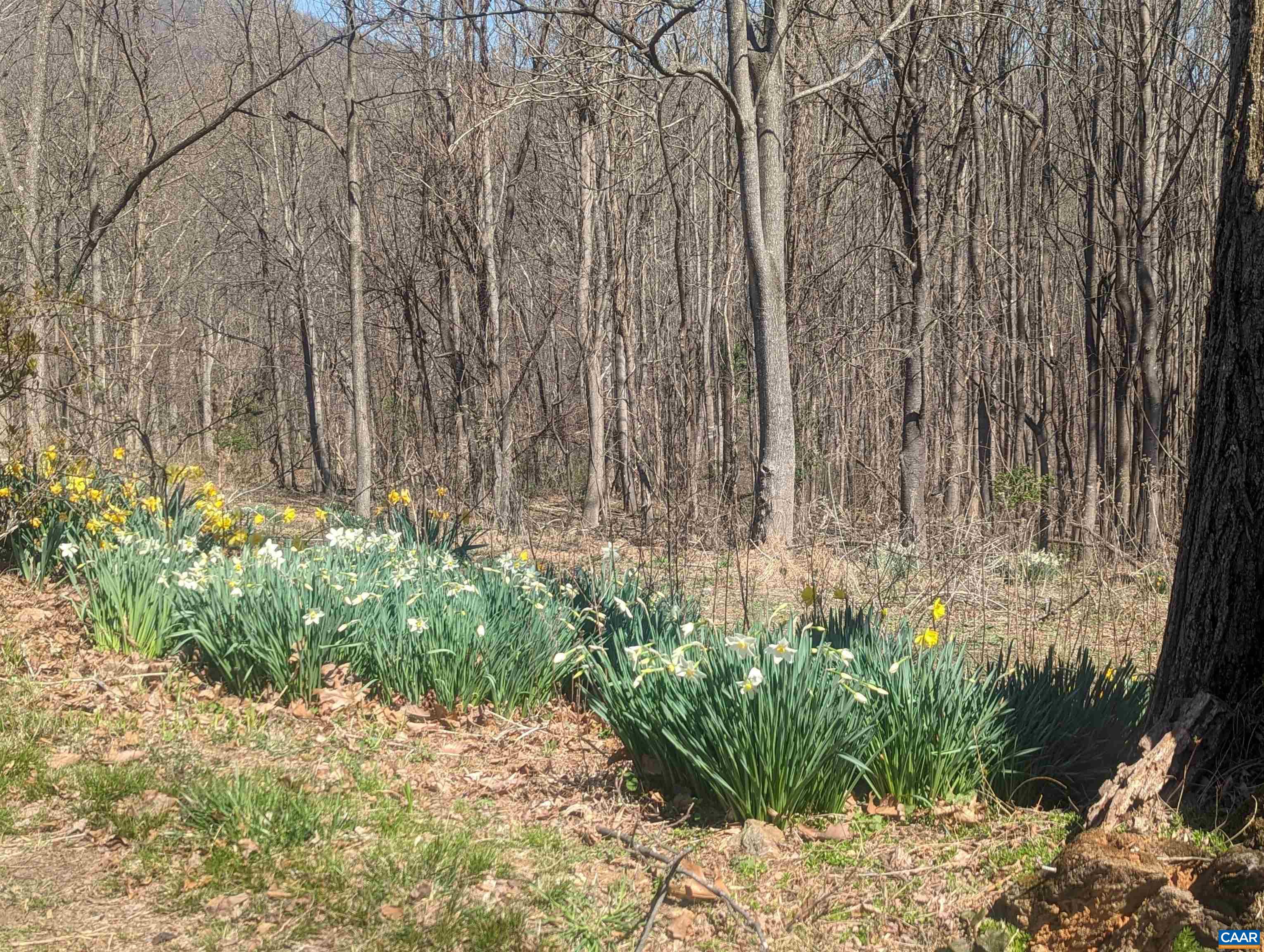 2005 Upper Stony Run, Greenwood, VA 22943 — photo 7