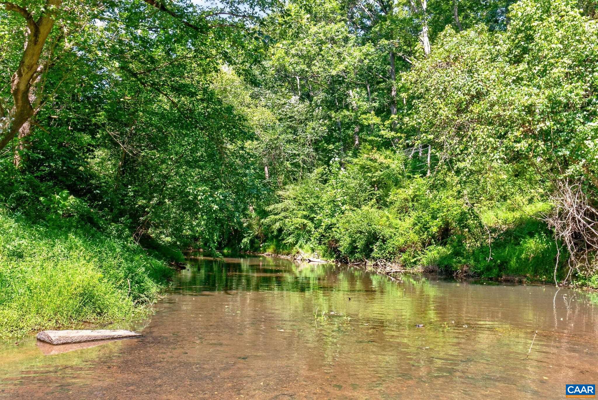 1353 Banton Shop Rd, Dillwyn, VA 23936 — photo 5