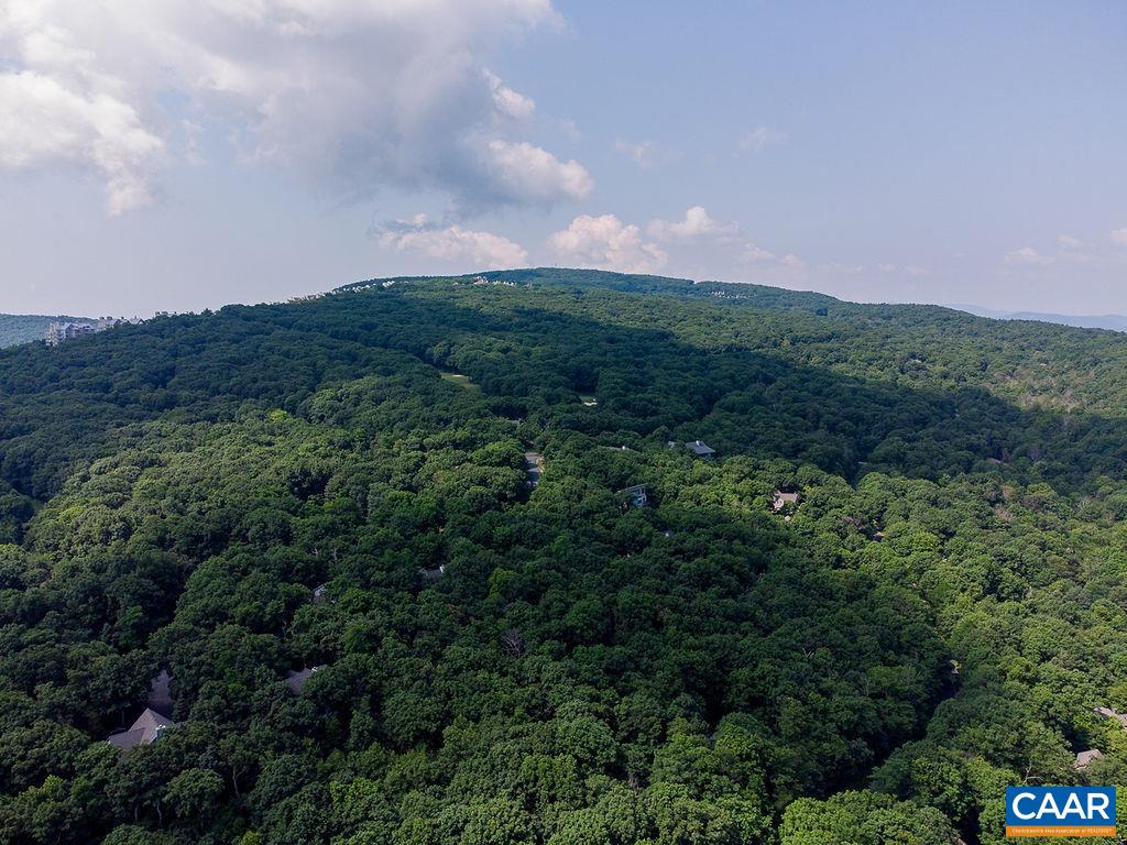 37 Coopers Vantage, Wintergreen Resort, VA 22967 - photo 7