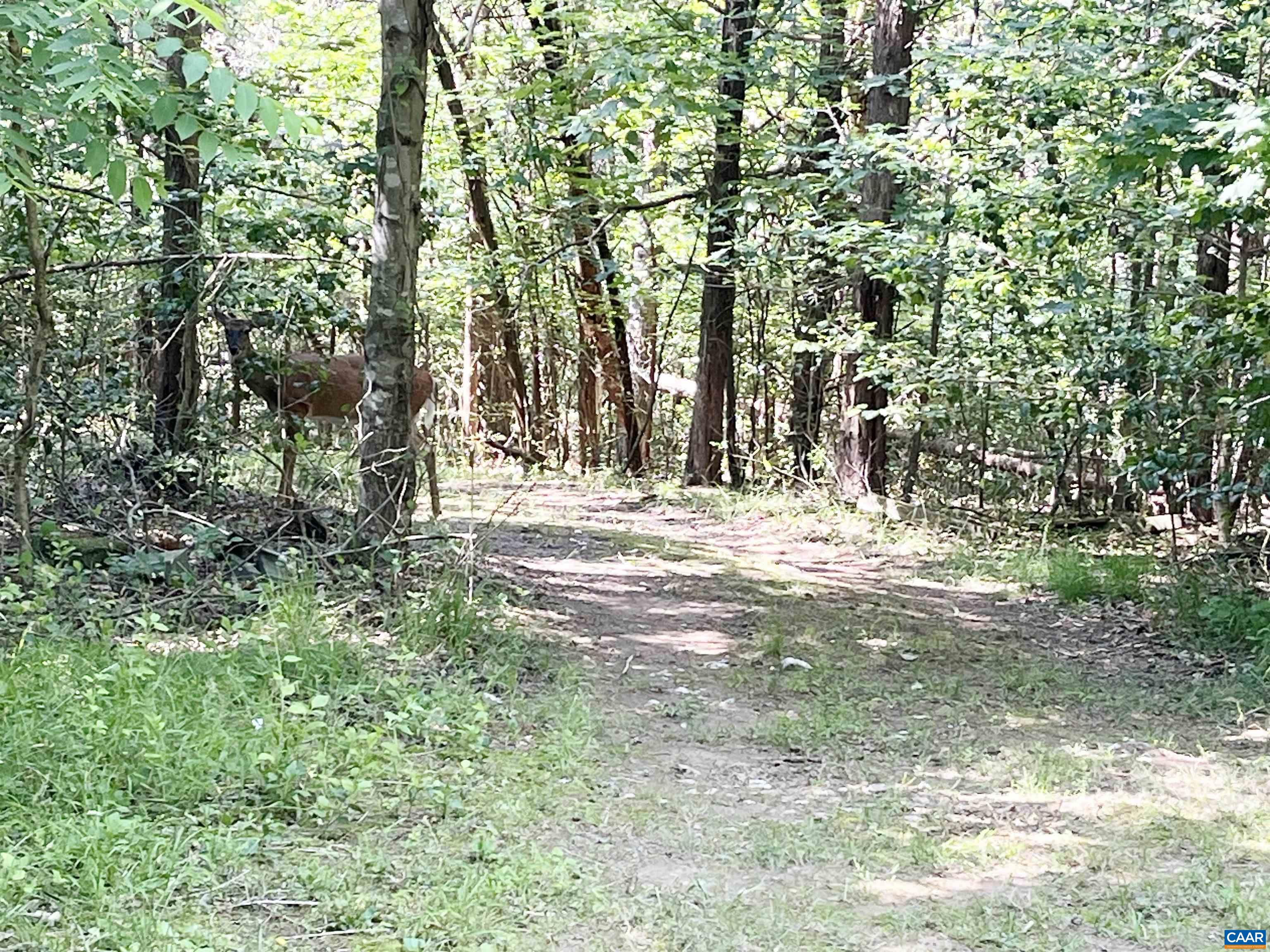 5878 Buffalo River Rd, Earlysville, VA 22936 - photo 2