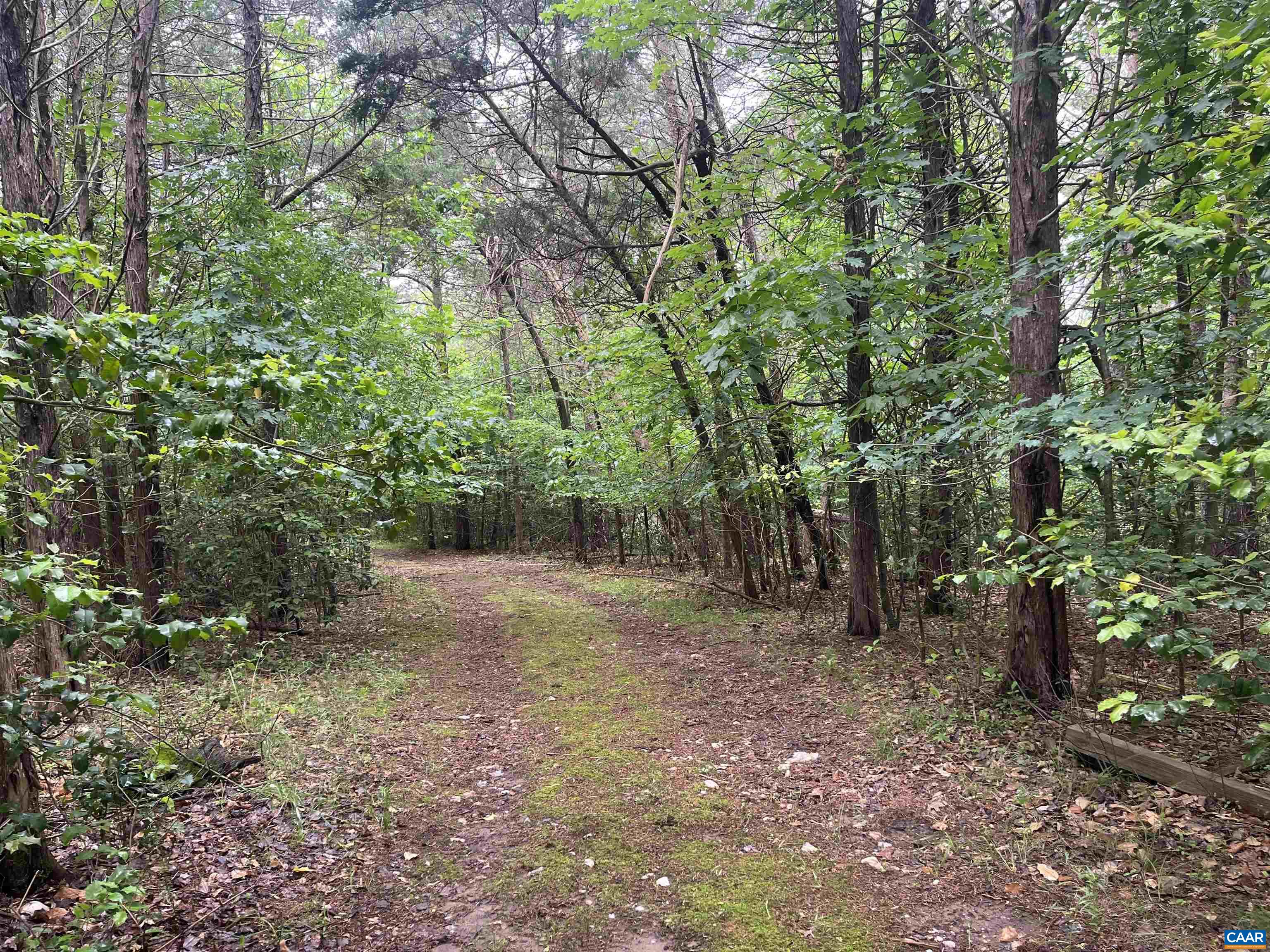 5878 Buffalo River Rd, Earlysville, VA 22936 - photo 3