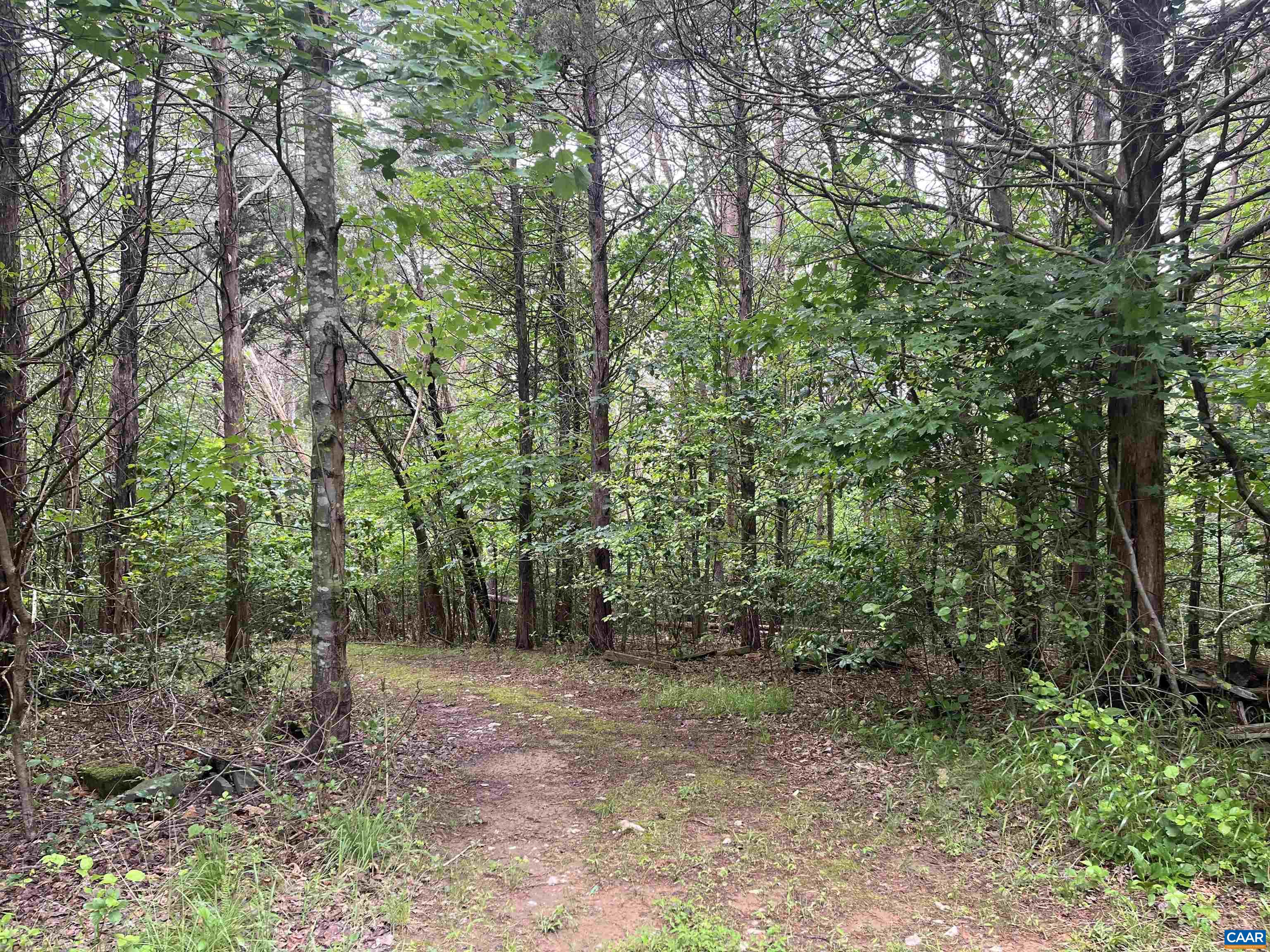 5878 Buffalo River Rd, Earlysville, VA 22936 - photo 4