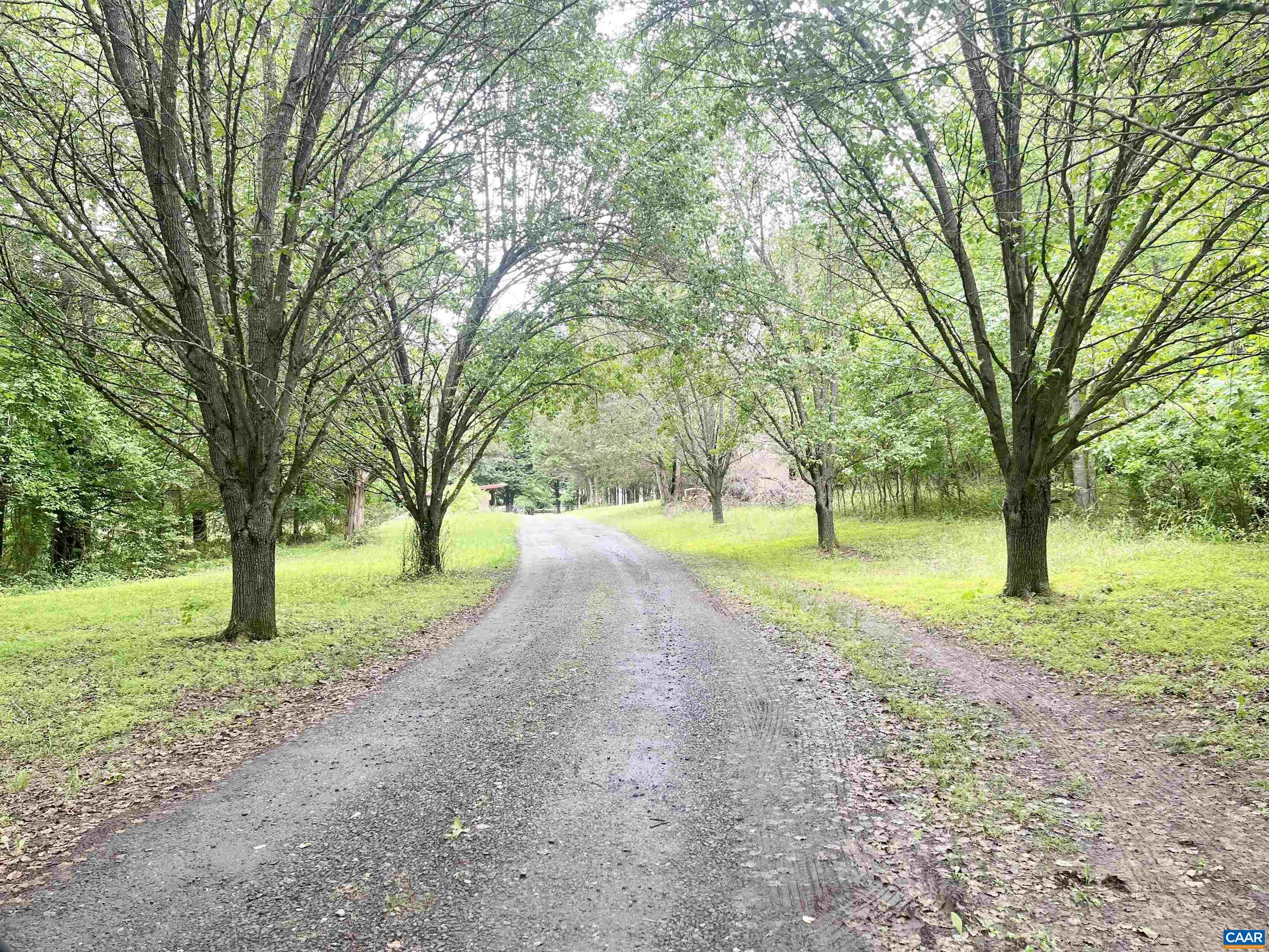 5878 Buffalo River Rd, Earlysville, VA 22936 - photo 9