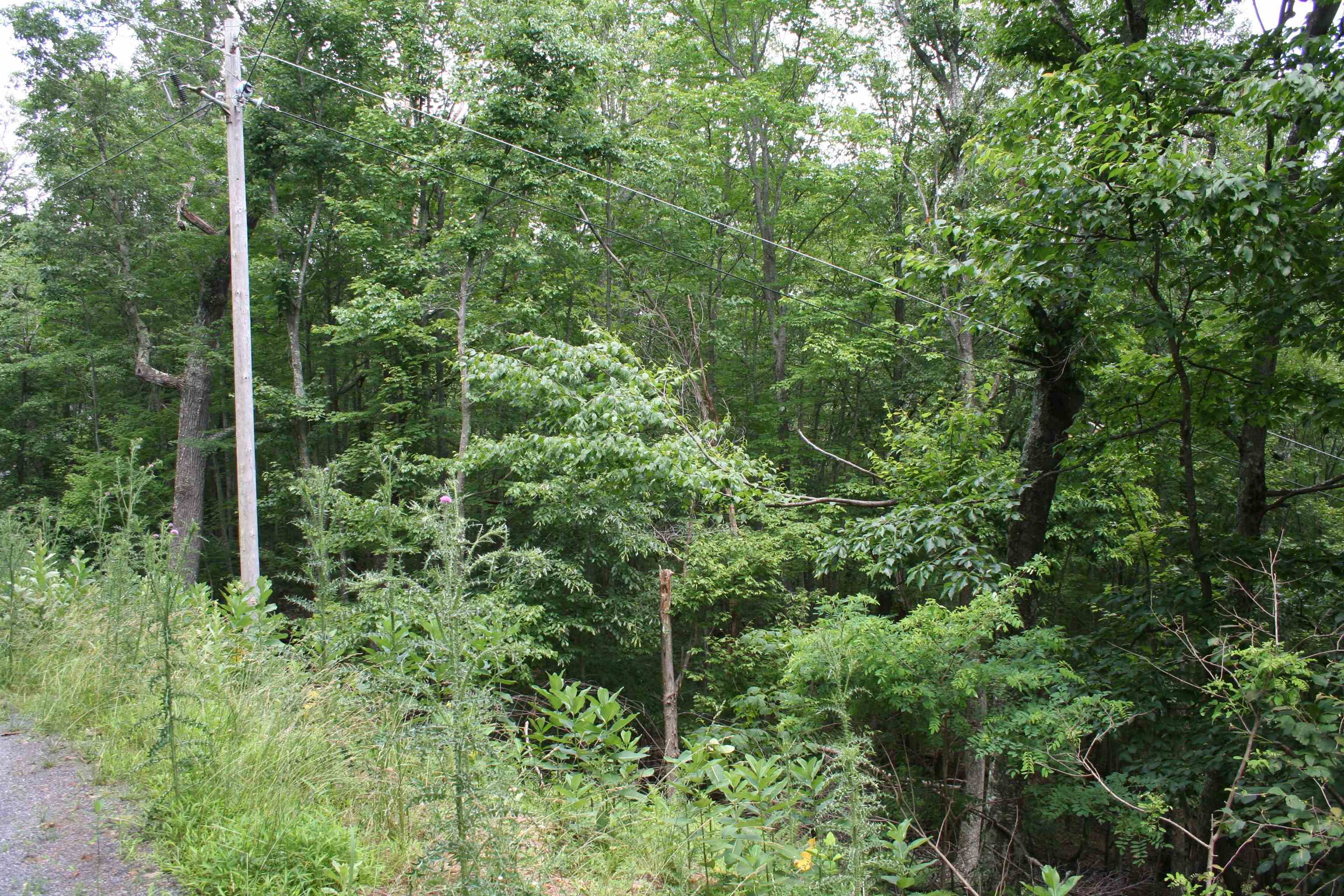 41 S High Valley Dr, Monterey, VA 24465