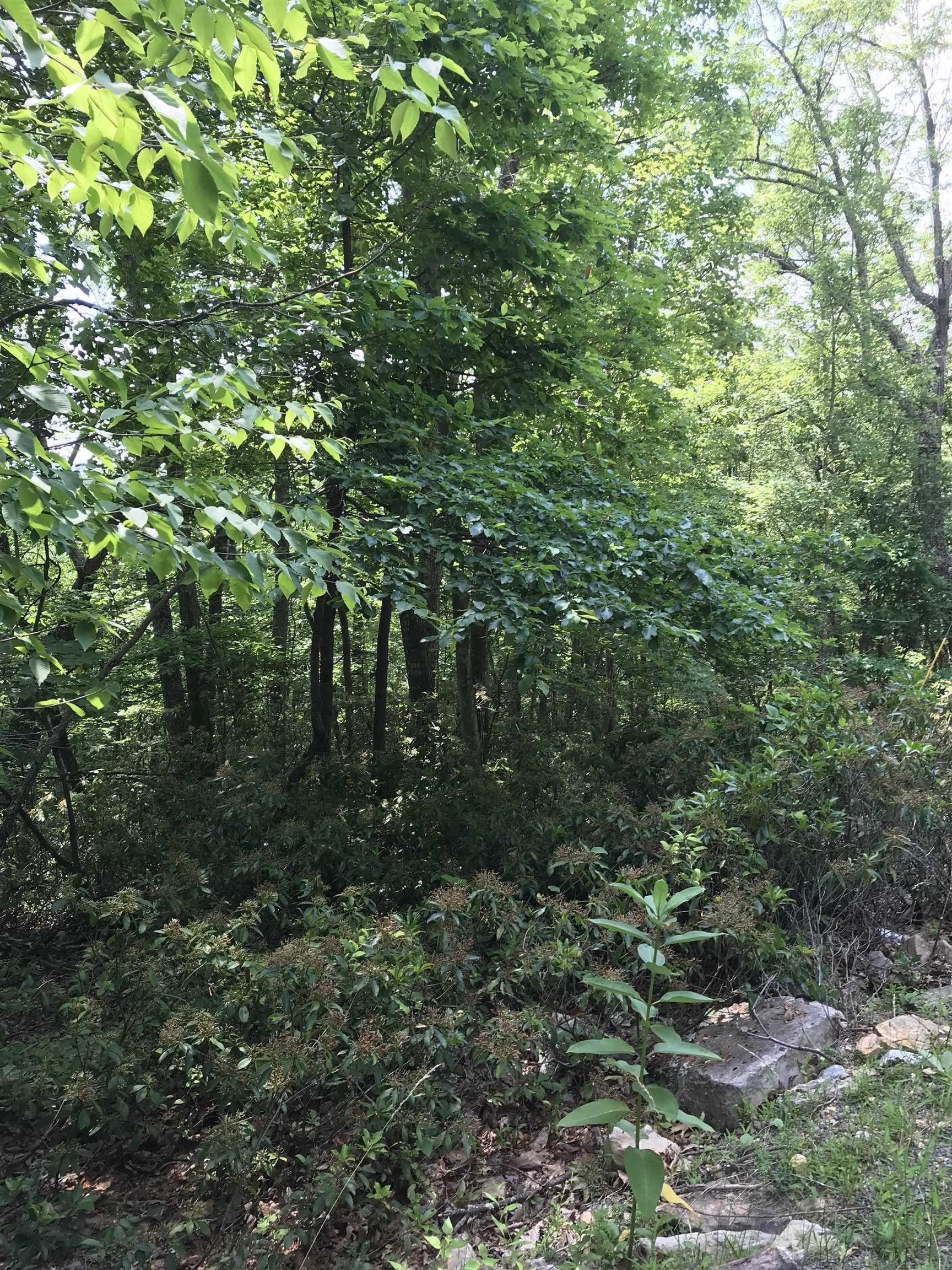 41 S High Valley Dr, Monterey, VA 24465 - photo 6