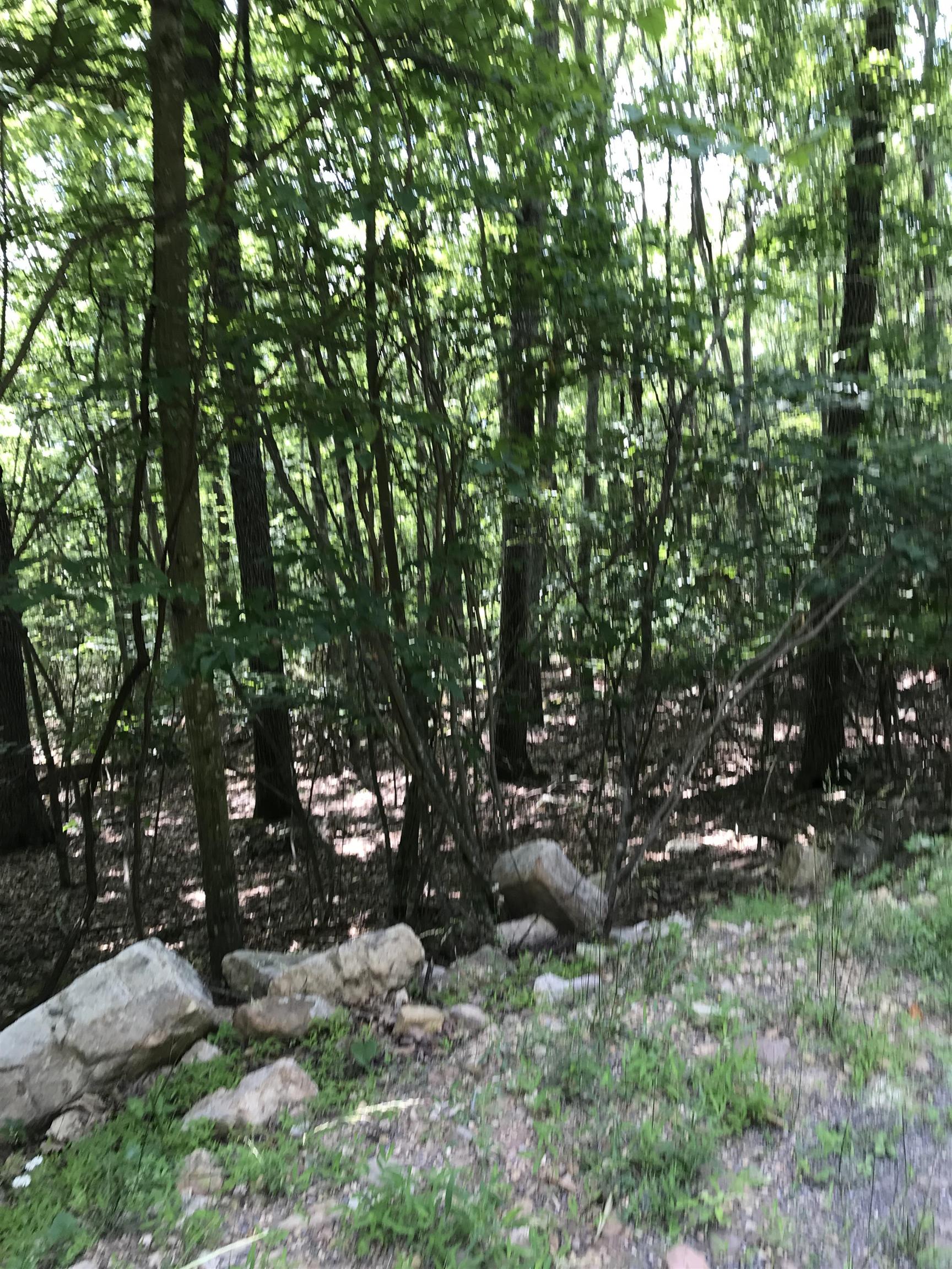 41 S High Valley Dr, Monterey, VA 24465 - photo 7