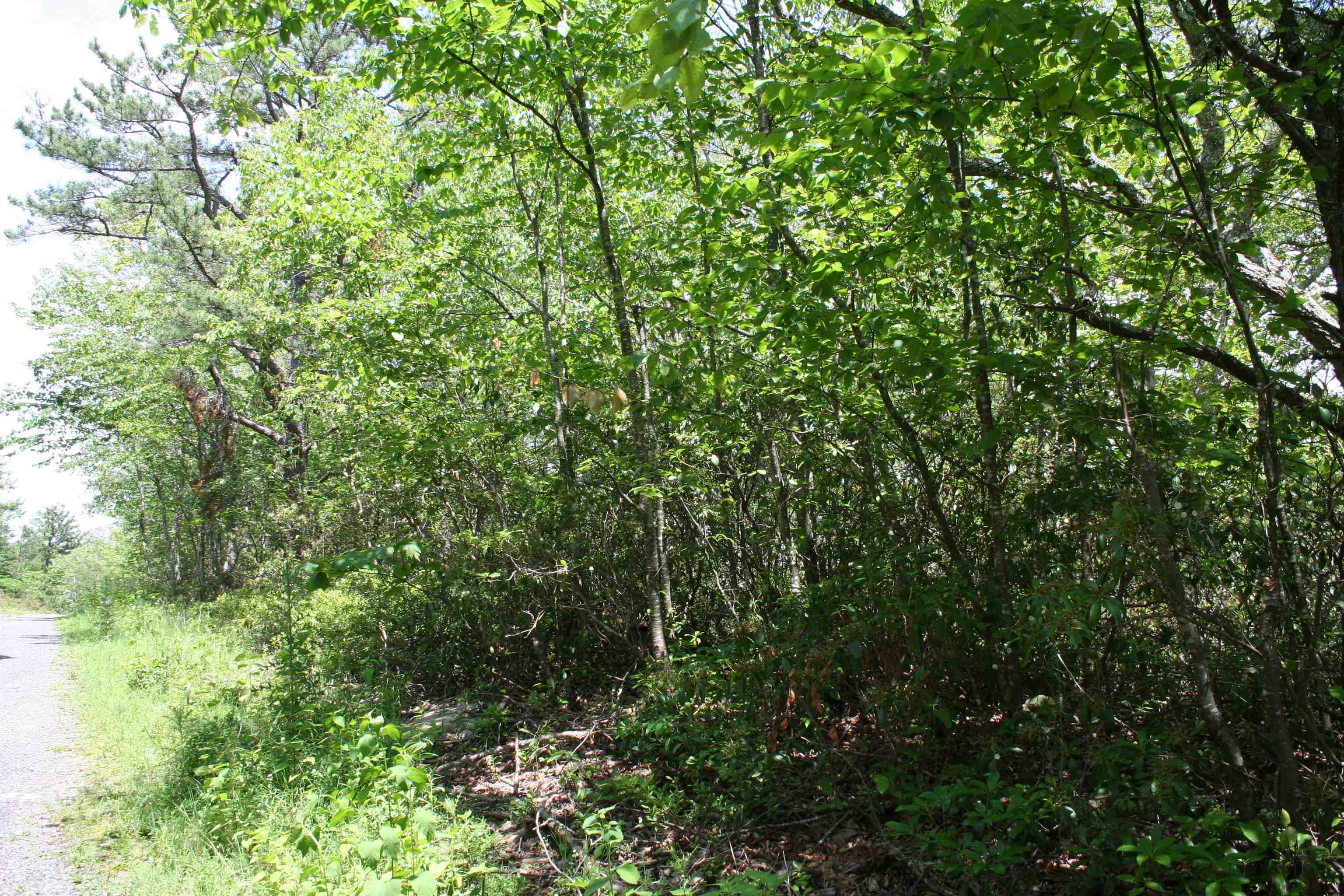 42 High Valley South, Monterey, VA 24465 - photo 3