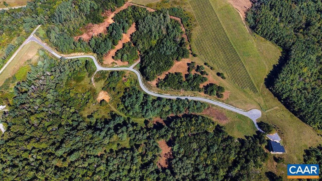 Twelve Ridges Way, Vesuvius, VA 24483 - photo 10