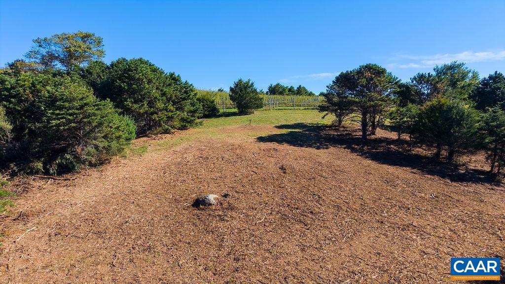 Twelve Ridges Way, Vesuvius, VA 24483 - photo 2