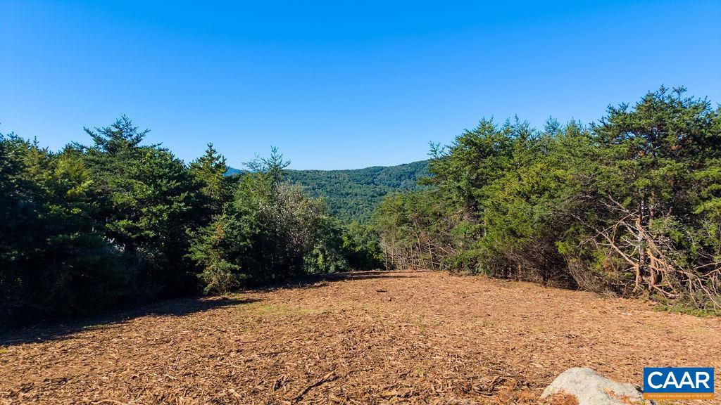 Twelve Ridges Way, Vesuvius, VA 24483 - photo 3