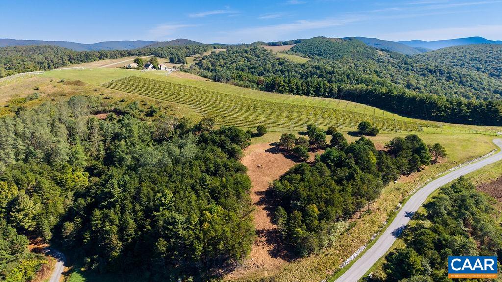 Twelve Ridges Way, Vesuvius, VA 24483 - photo 8