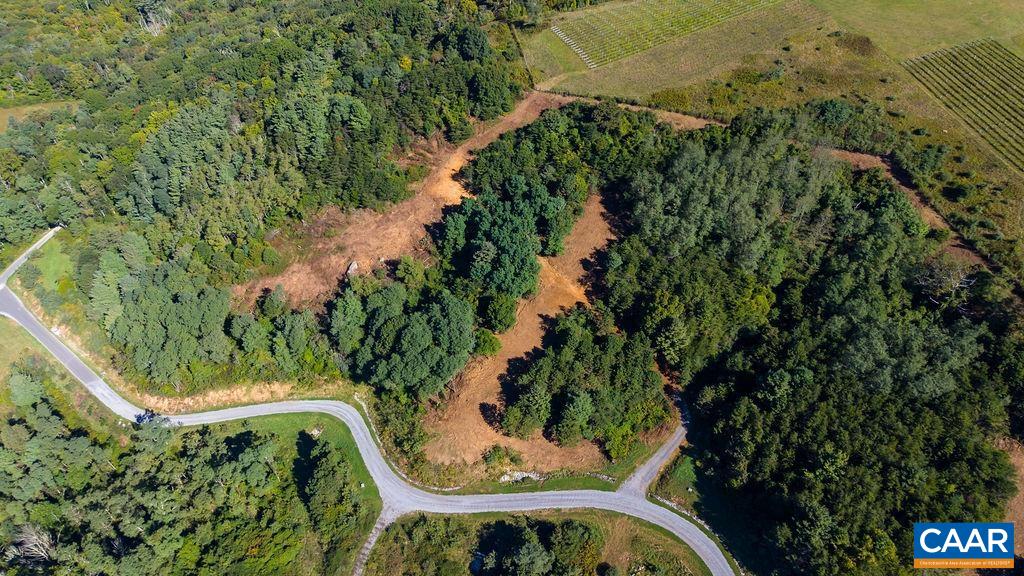 Twelve Ridges Way, Vesuvius, VA 24483 - photo 9
