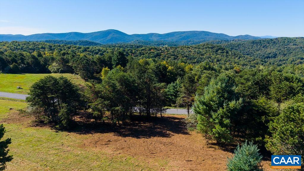 Twelve Ridges Way, Vesuvius, VA 24483 - photo 2