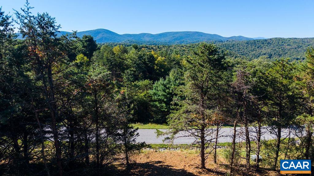 Twelve Ridges Way, Vesuvius, VA 24483 - photo 4