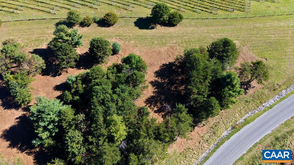 Twelve Ridges Way, Vesuvius, VA 24483 - photo 6