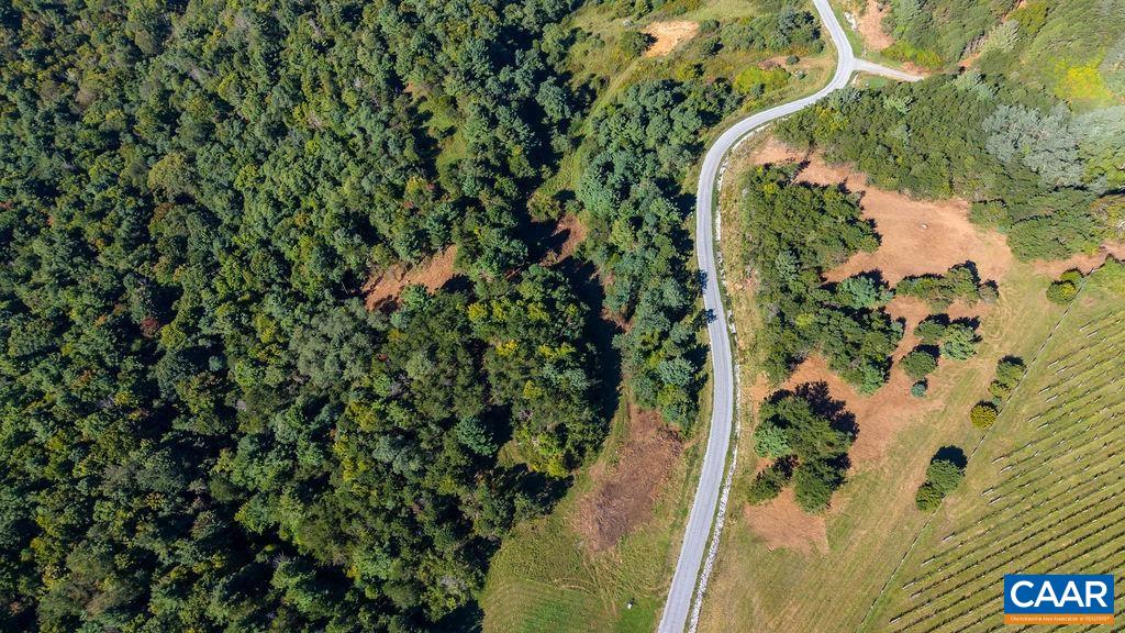 Twelve Ridges Way, Vesuvius, VA 24483 - photo 2