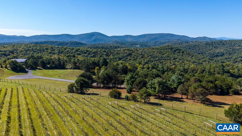 Twelve Ridges Way, Vesuvius, VA 24483 - photo 7