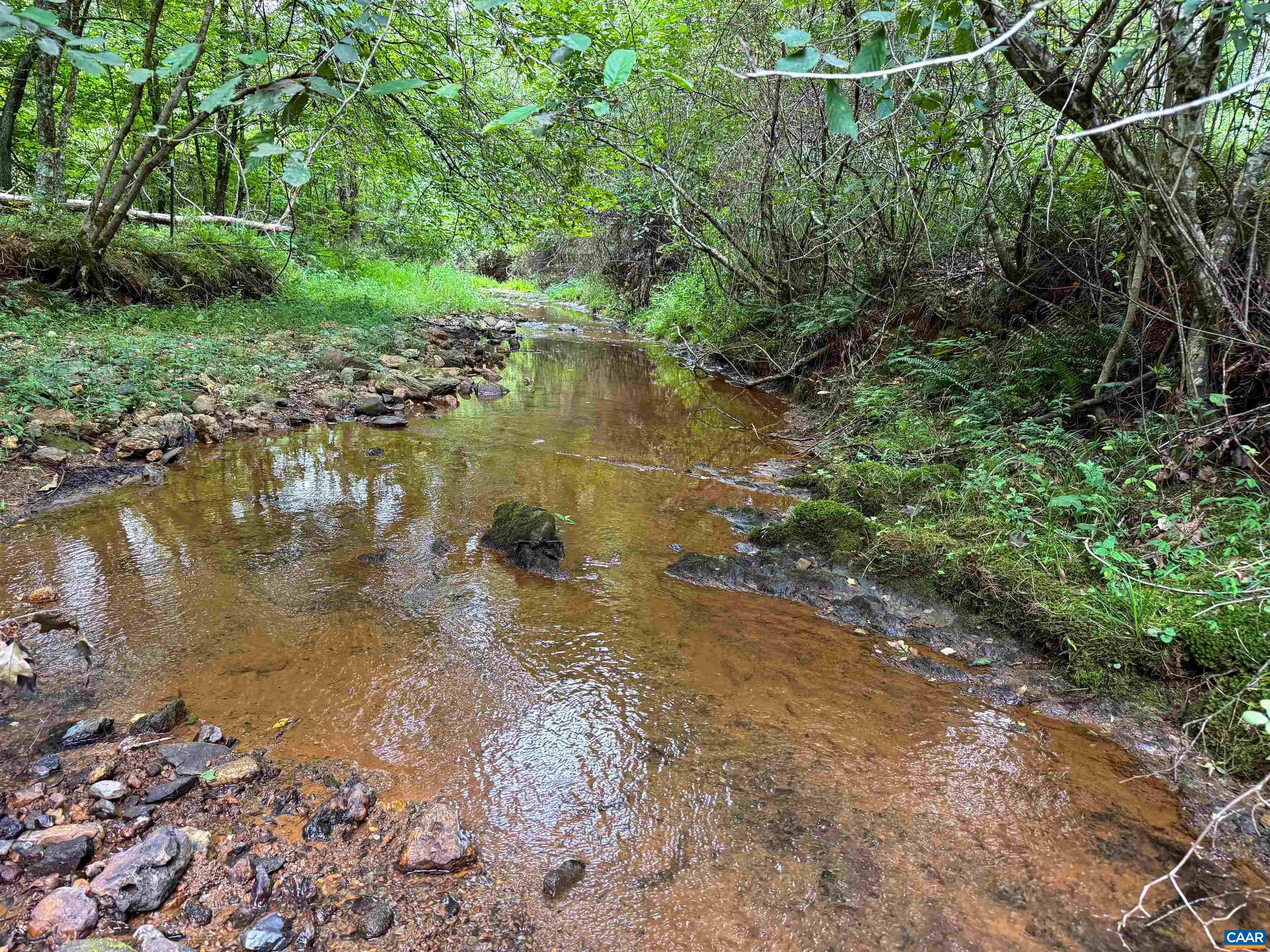 Old Green Mountain Rd, Esmont, VA 22937