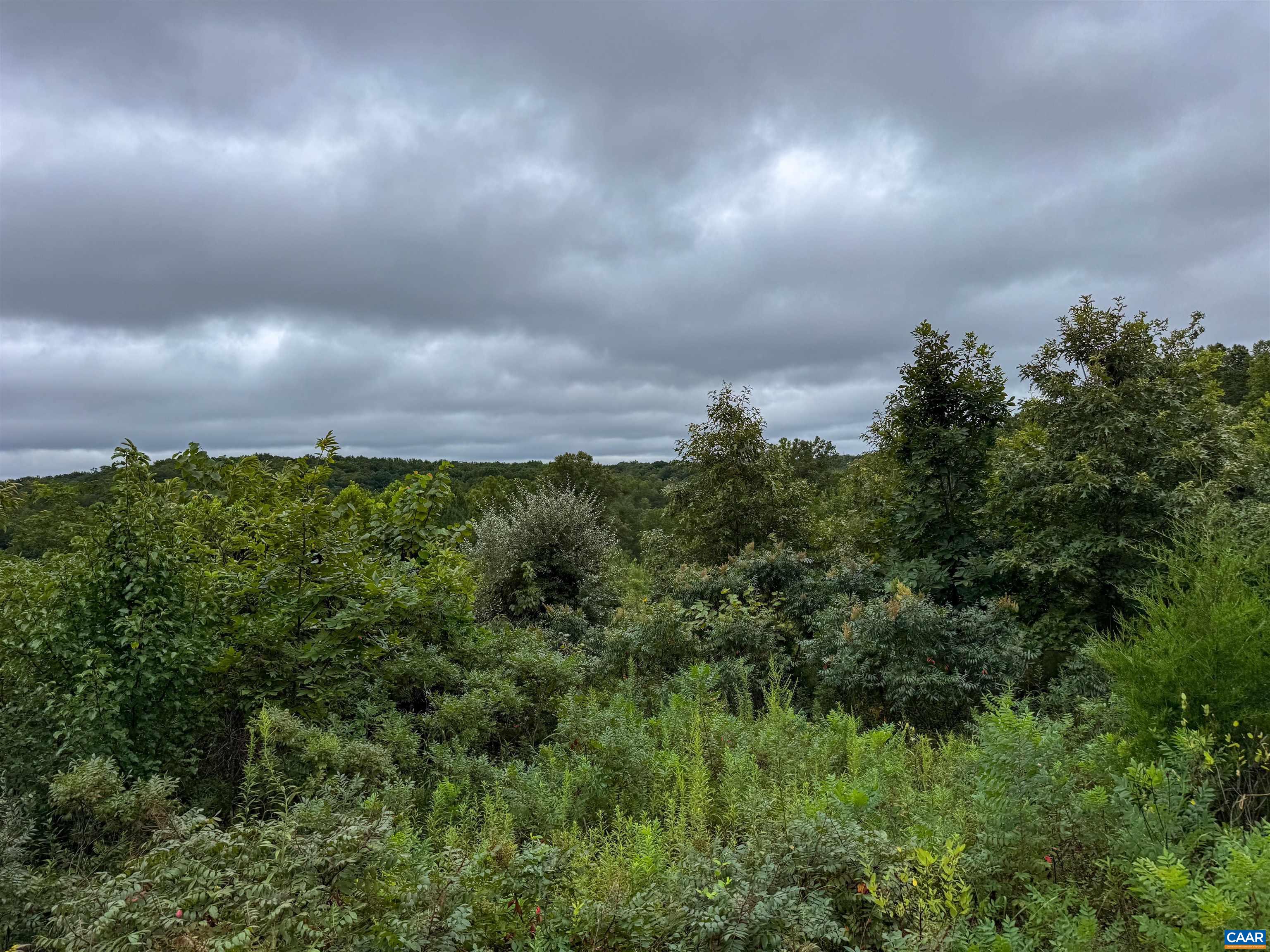 Old Green Mountain Rd, Esmont, VA 22937 - photo 10